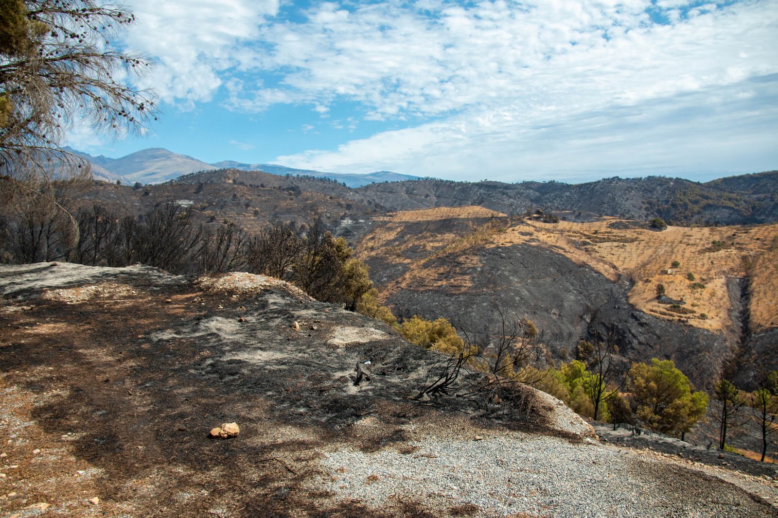 Infoca anuncia que el incendio forestal de Los Guájares se da por controlado