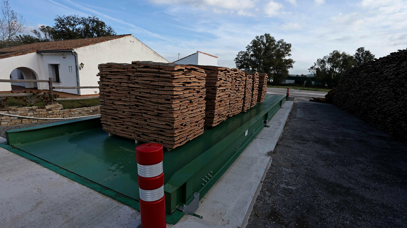 Las mejores fotos de la finca La Almoraima