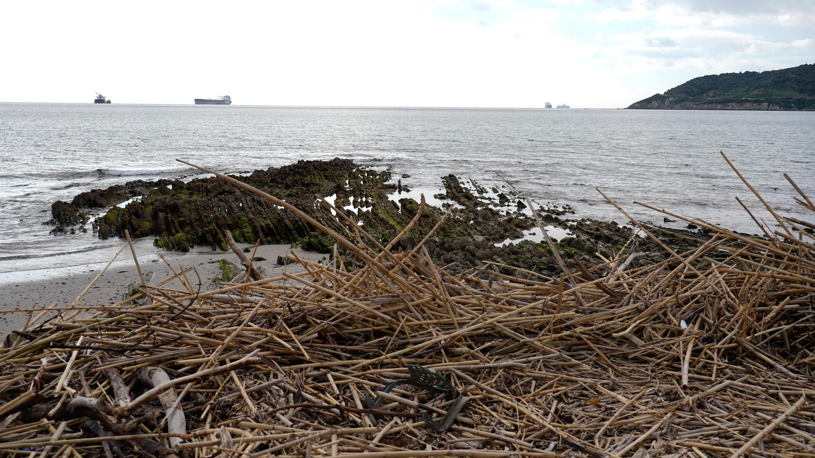 Fotos de la playa de Getares llena de cañas y desechos