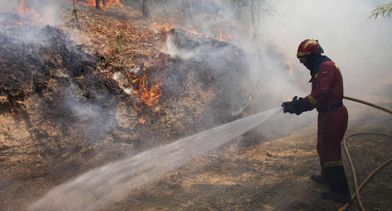 Detenida una mujer como presunta autora de 15 incendios en Galicia