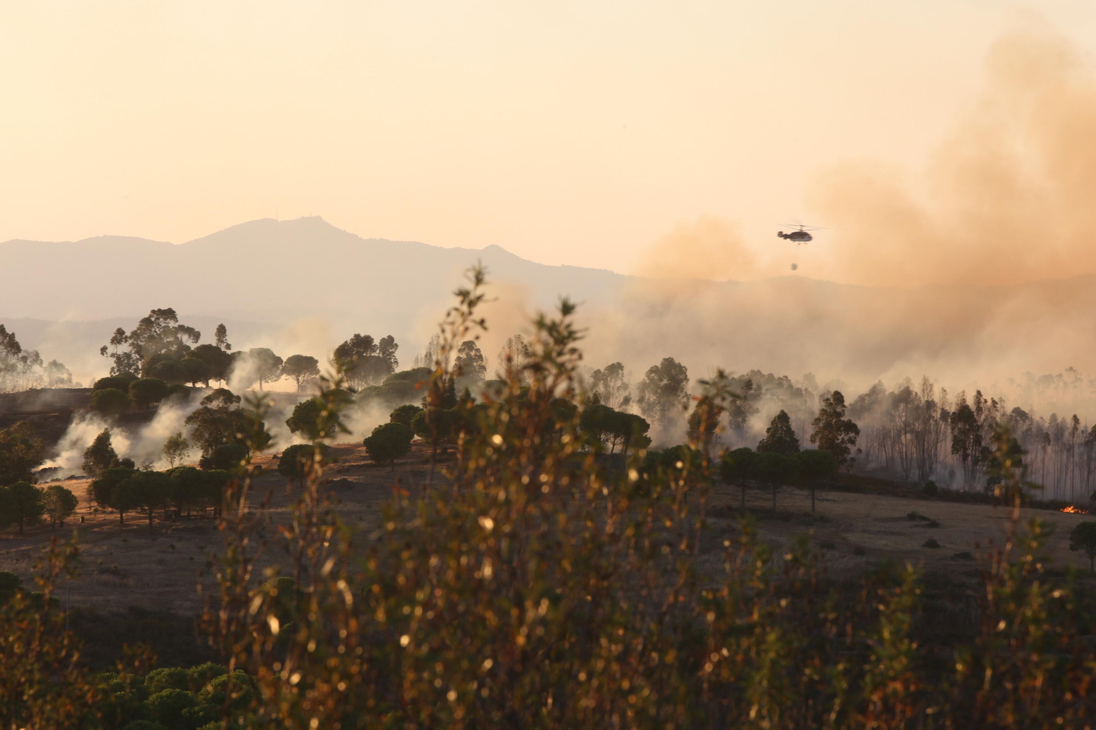 El incendio de Riotinto en imágenes
