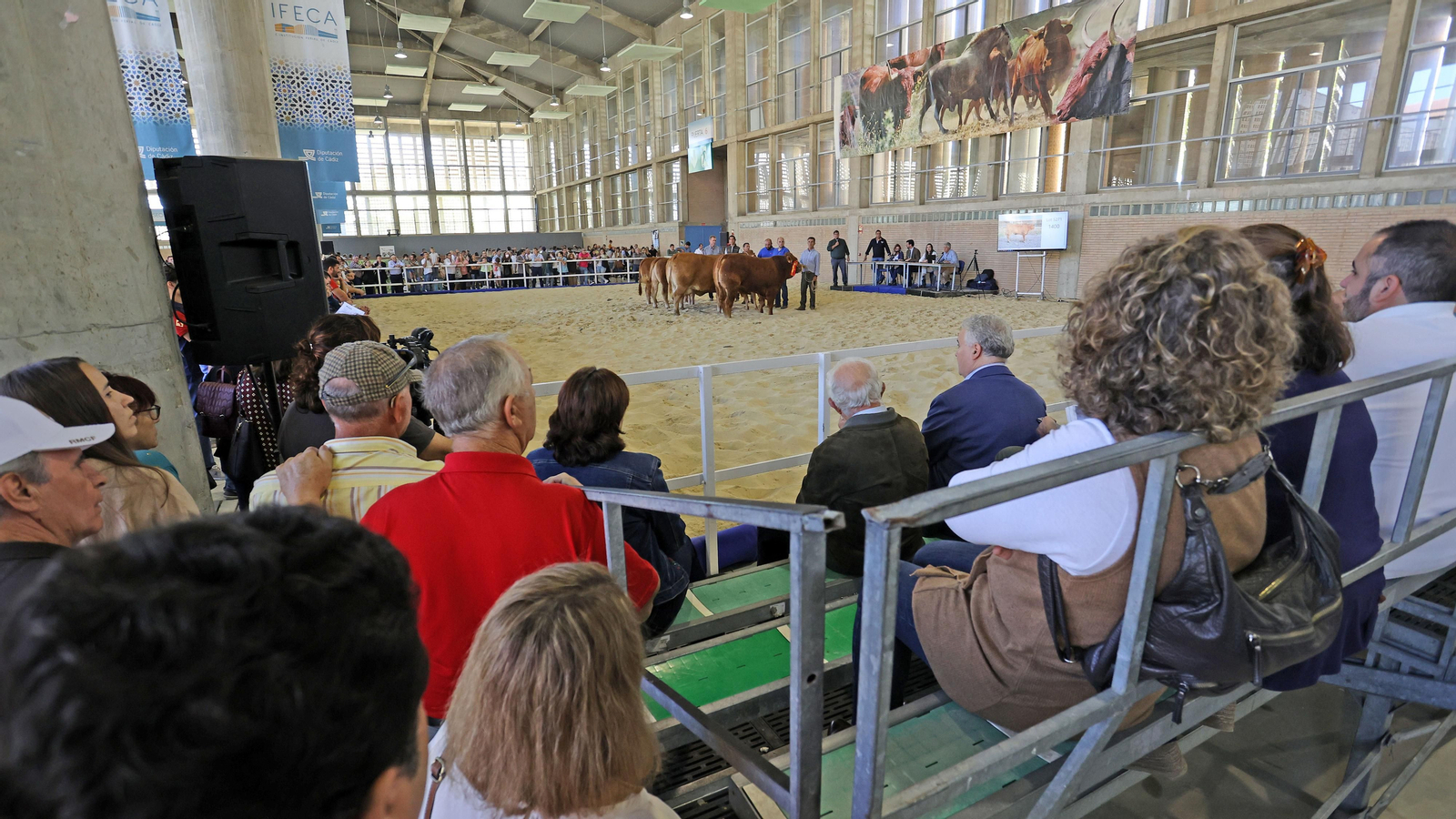Gran afluencia de público en la clausura de Fegasur
