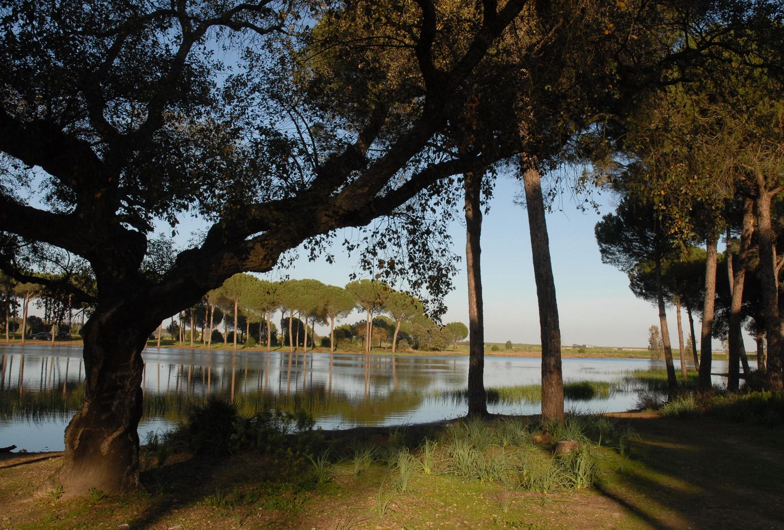 Laguna de San Lázaro en Villamanrique de la Condesa.