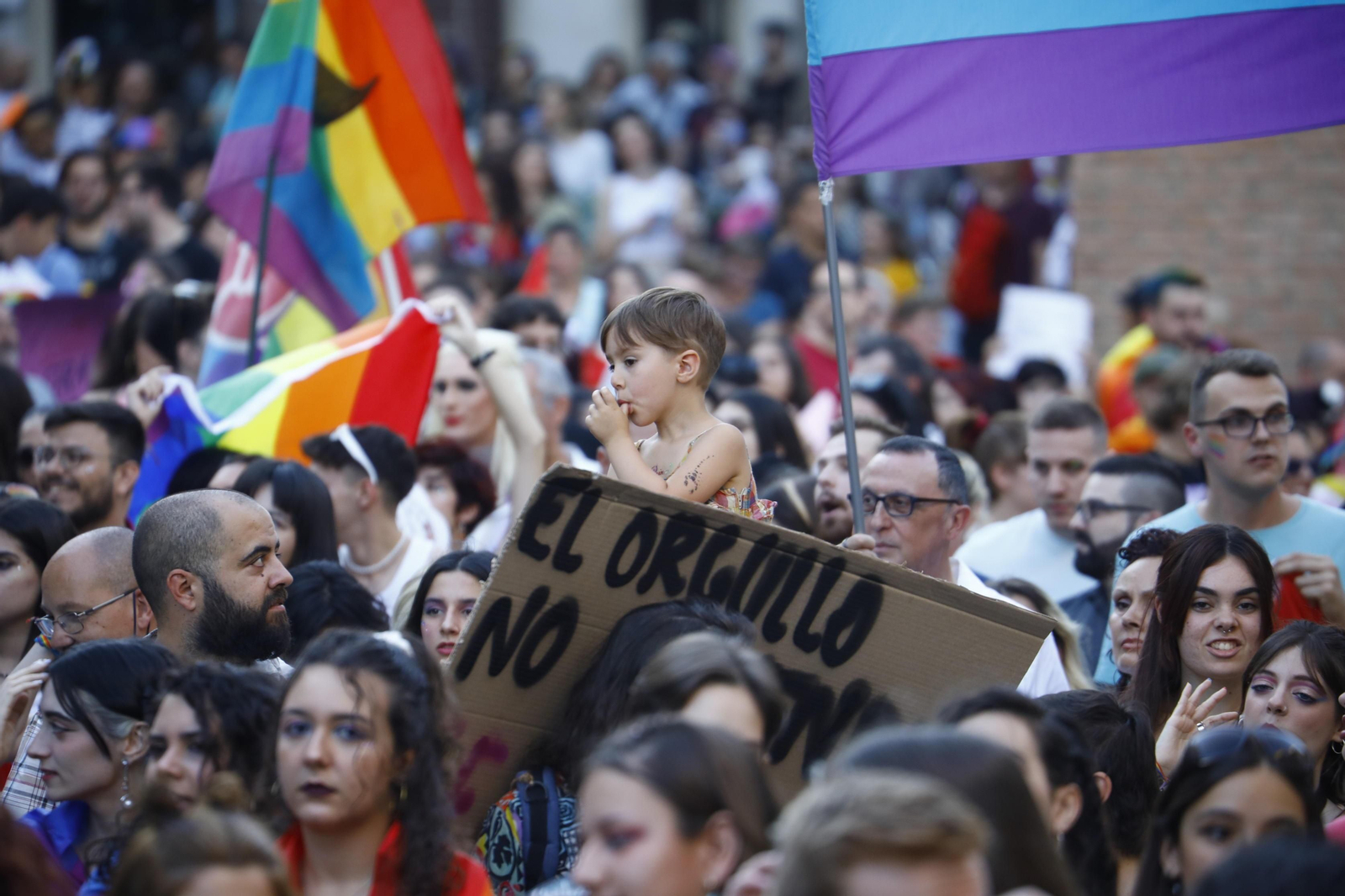 La marcha del Orgullo LGTBIQ+ de Córdoba, en imágenes