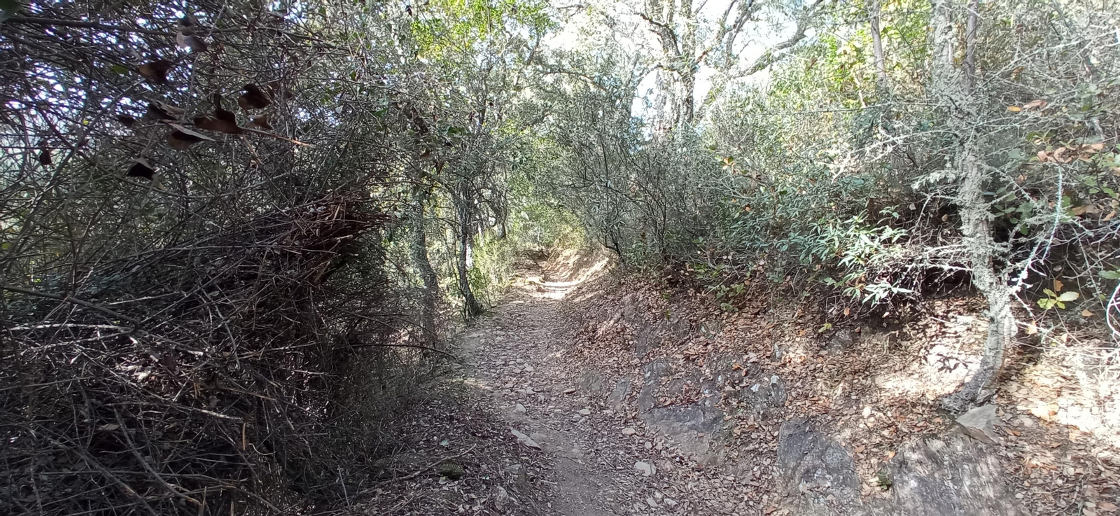 Las imágenes de la ruta de la Dehesa de Valdelama: De Los Marines a Fuenteheridos y vuelta
