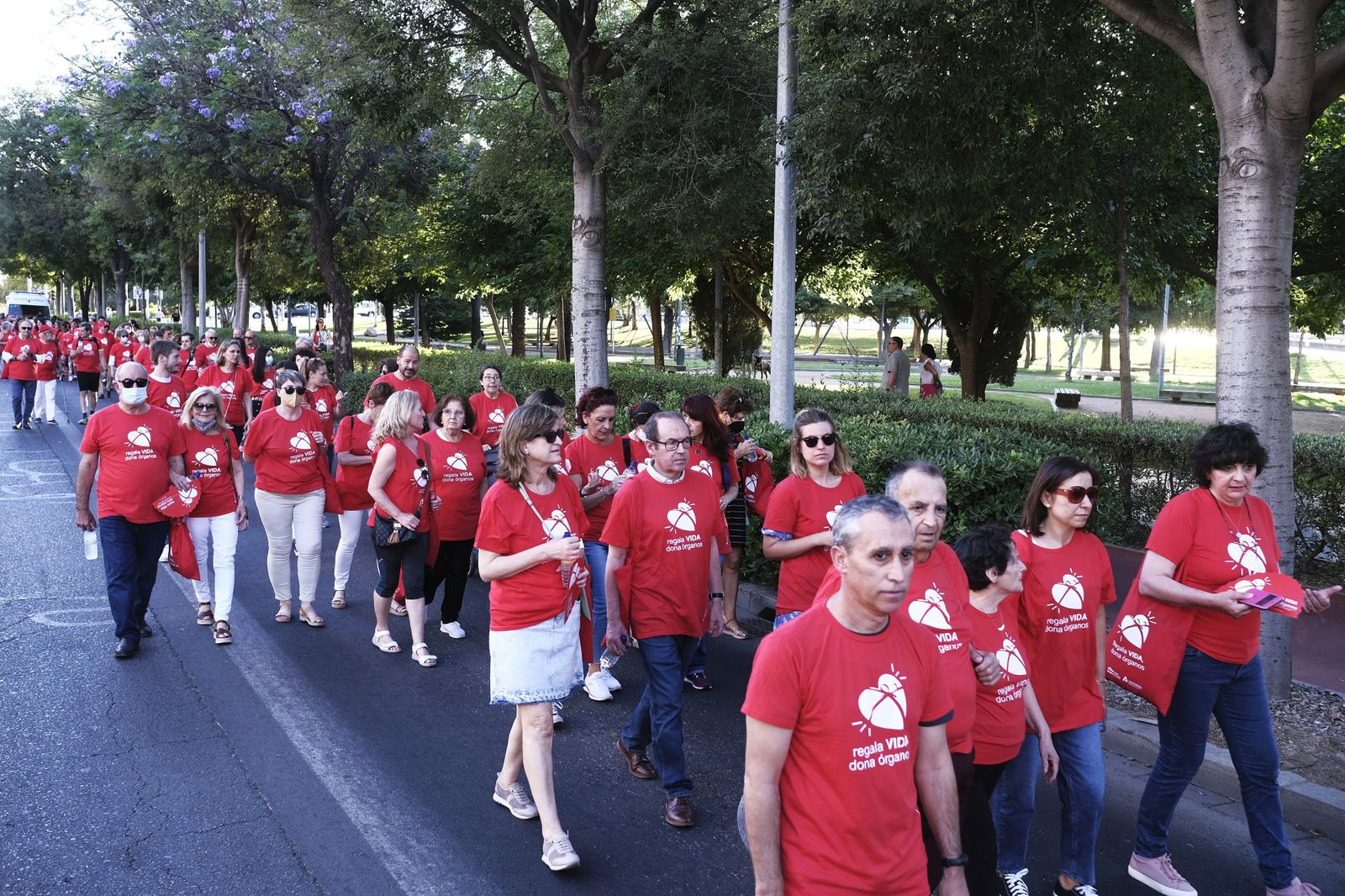 La Marcha por la Donación de Órganos de Córdoba, en imágenes