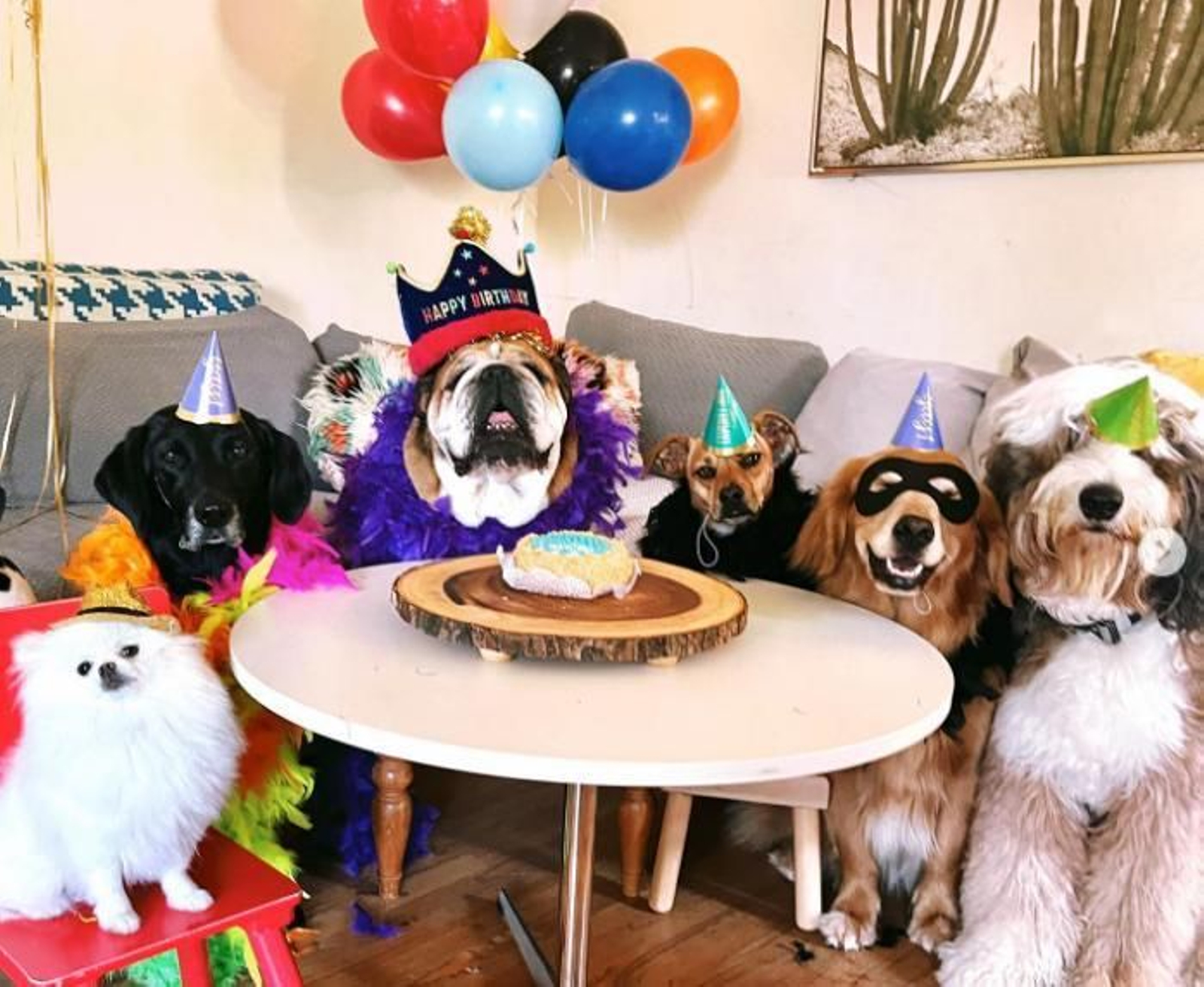 Hamilton celebra el cumpleaños de su perro con globos, una tarta y sus amigos de cuatro patas