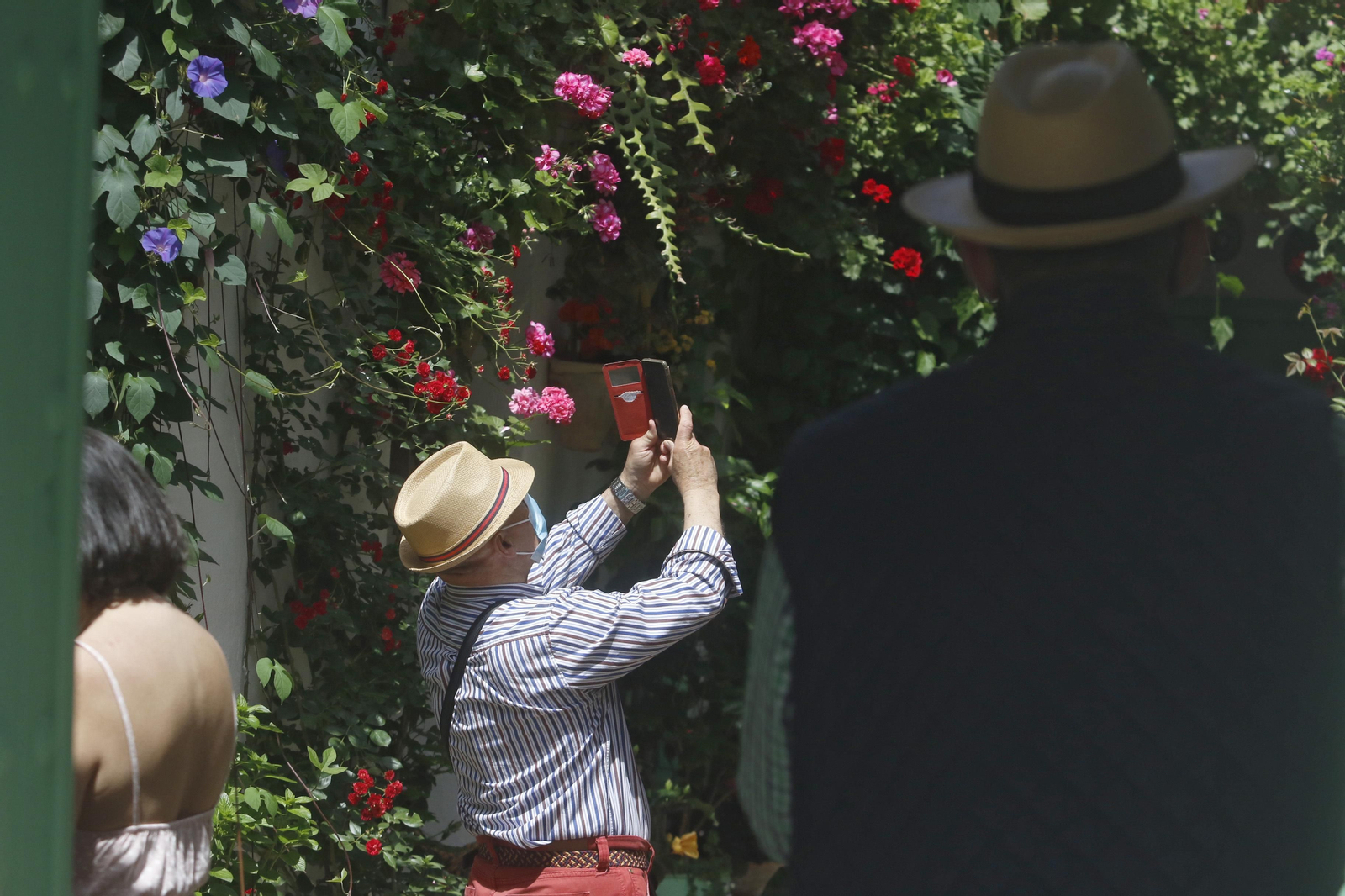 Ruta Alcázar Viejo de los Patios de Córdoba, en imágenes