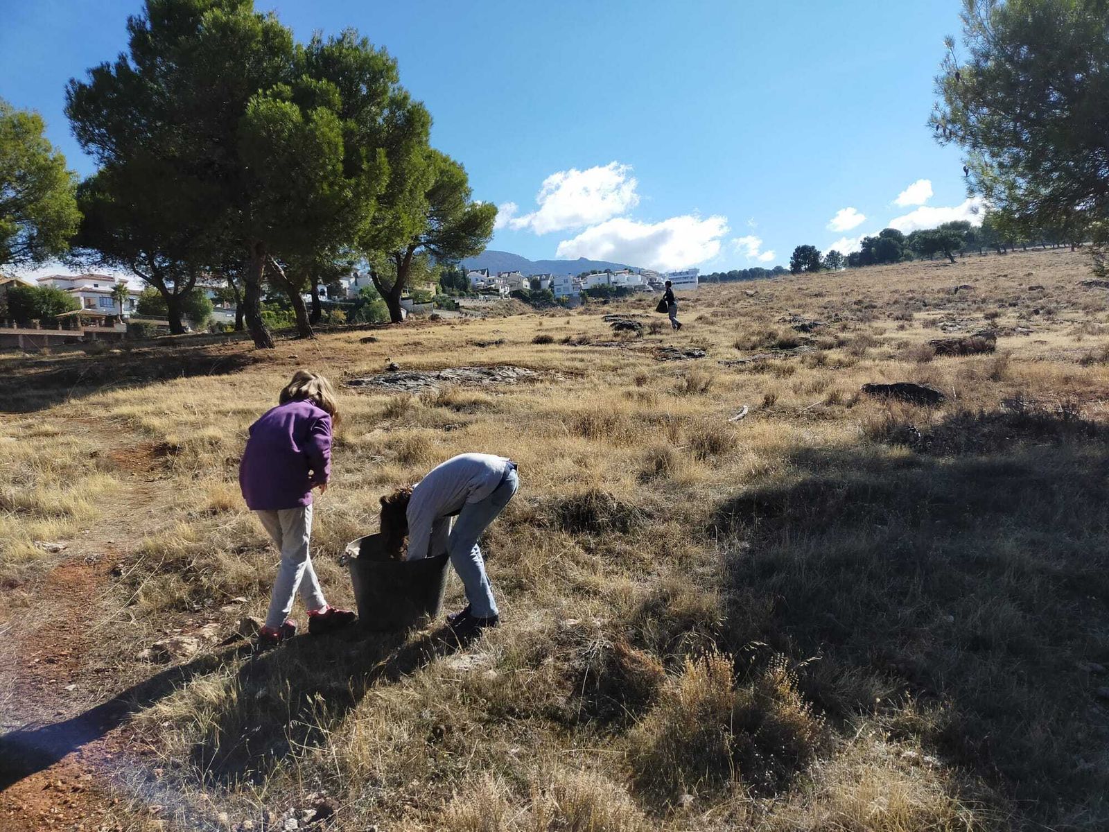 Inician una siembra masiva de bellotas en el Parque Natural de Sierra Nevada