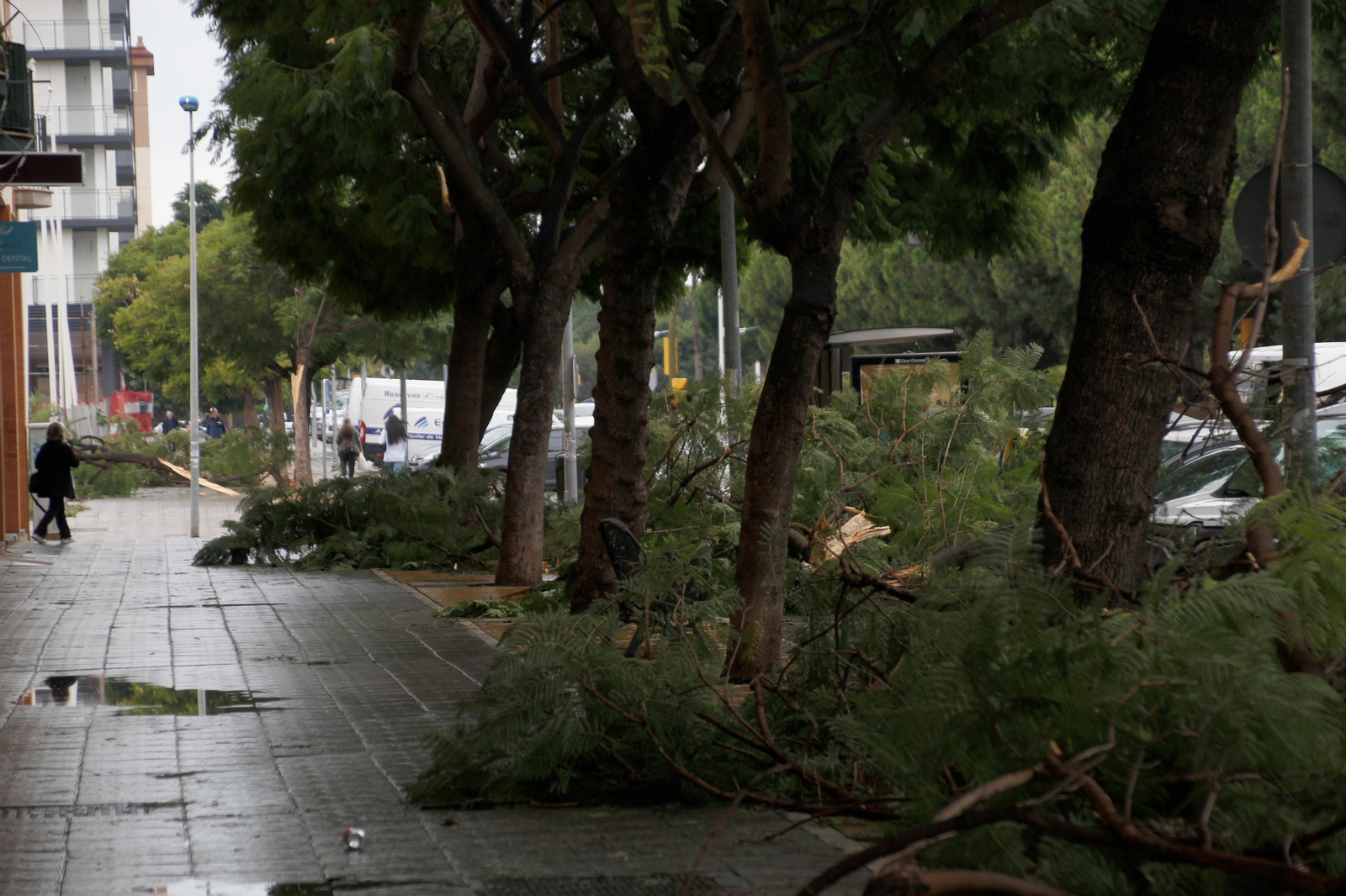 Imágenes de los destrozos en Huelva provocados por el temporal de viento y lluvia