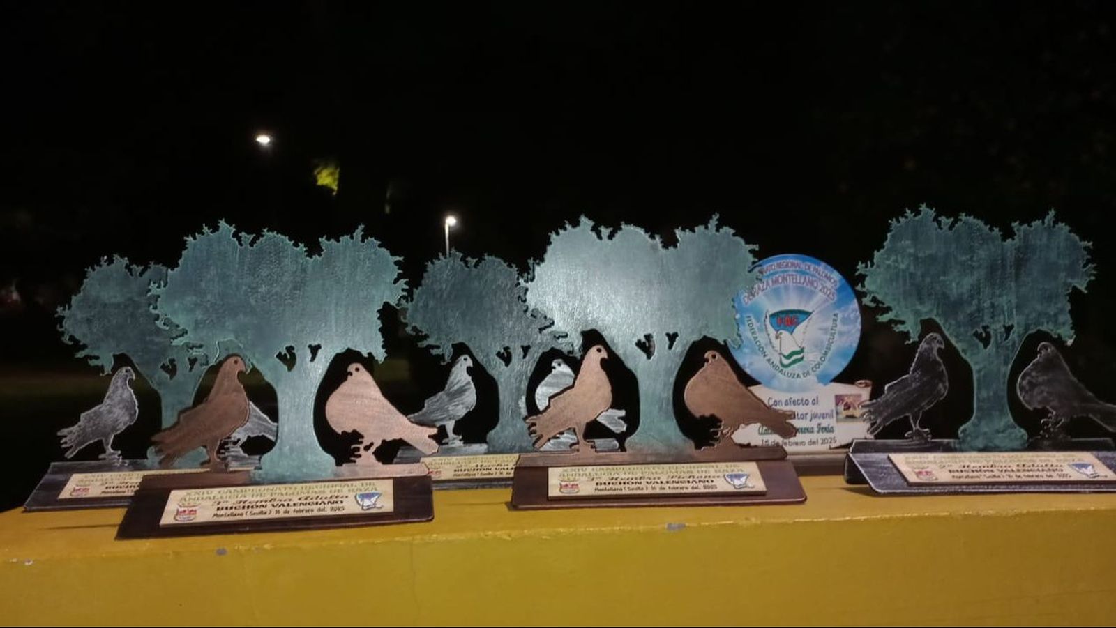 Los trofeos obtenidos por el niño colombicultor.