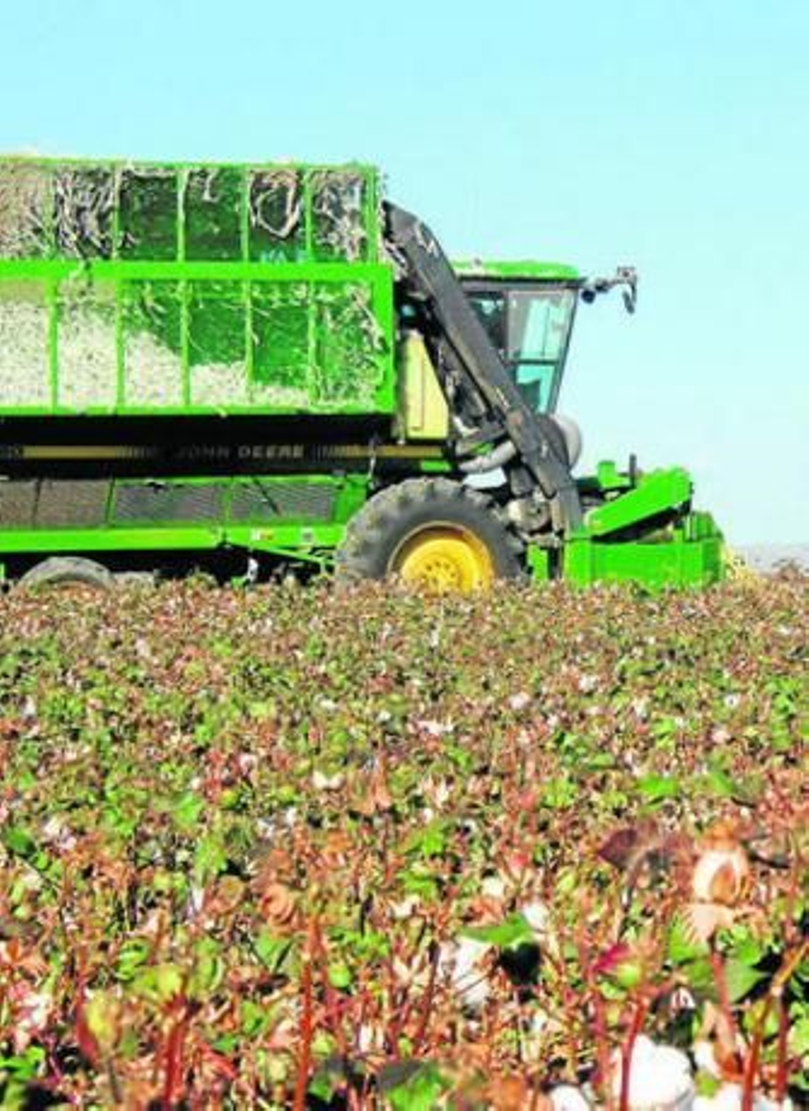 Una cosechadora de algodón, en la campaña de recolección.