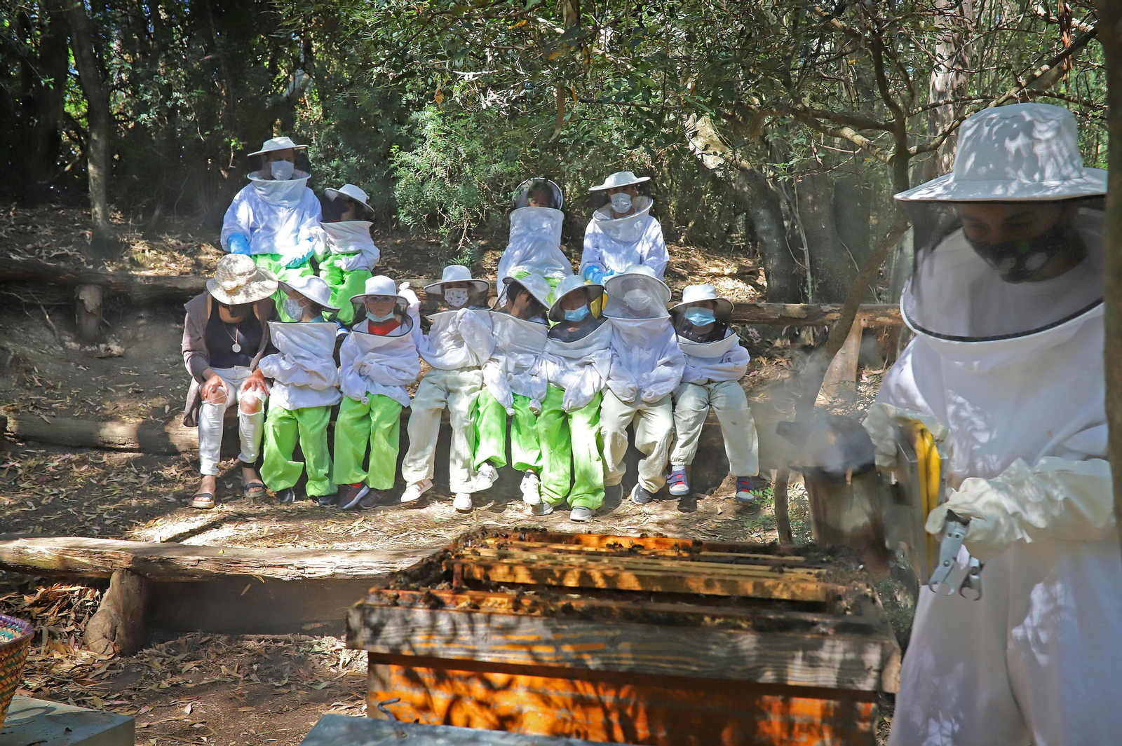 Jerez celebra el Día Mundial de las Abejas Jerez celebra el Día Mundial de las Abejas