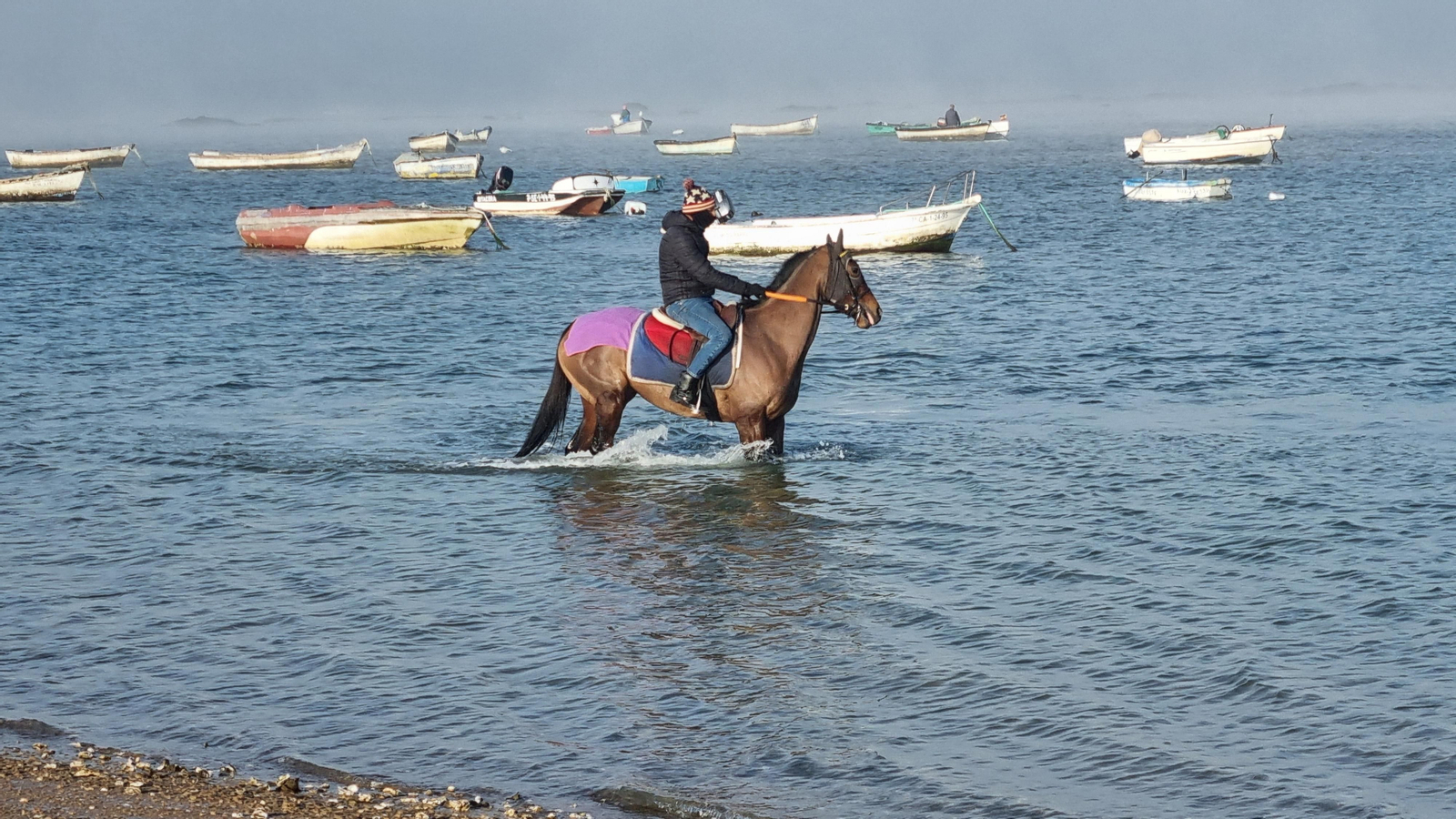 El mozo Luis González, en la playa con uno de los purasangres estabulados en Sanlúcar. El mozo Luis González, en la playa con uno de los purasangres estabulados en Sanlúcar.