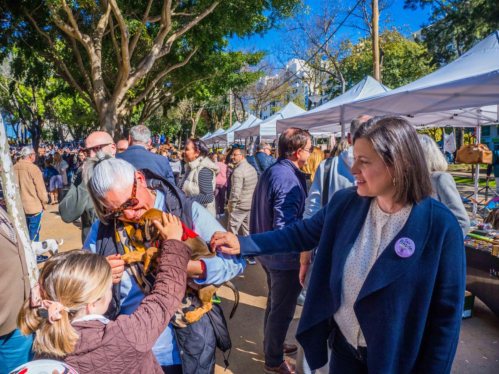 Las imágenes de San Antón 2025 en San Fernando