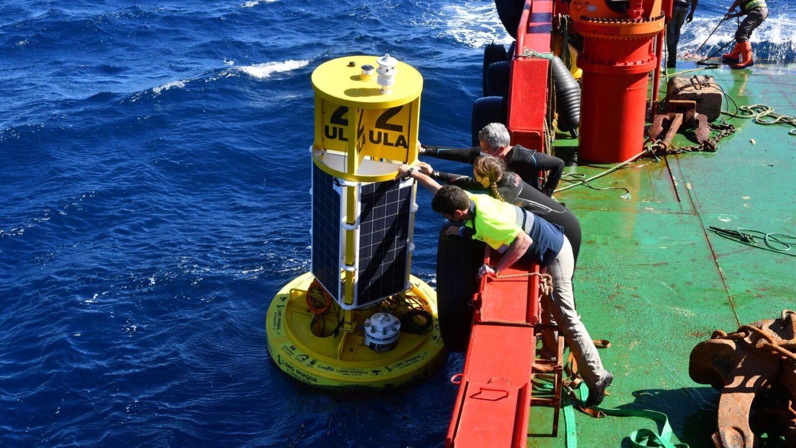 Investigadores de la Universidad de La Laguna fondean una boya para monitorizar los sonidos submarinos.