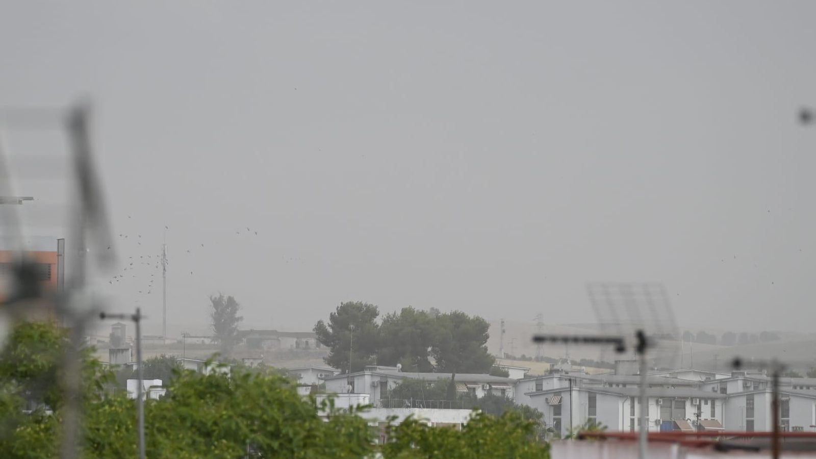 Polvo en suspensión en Córdoba