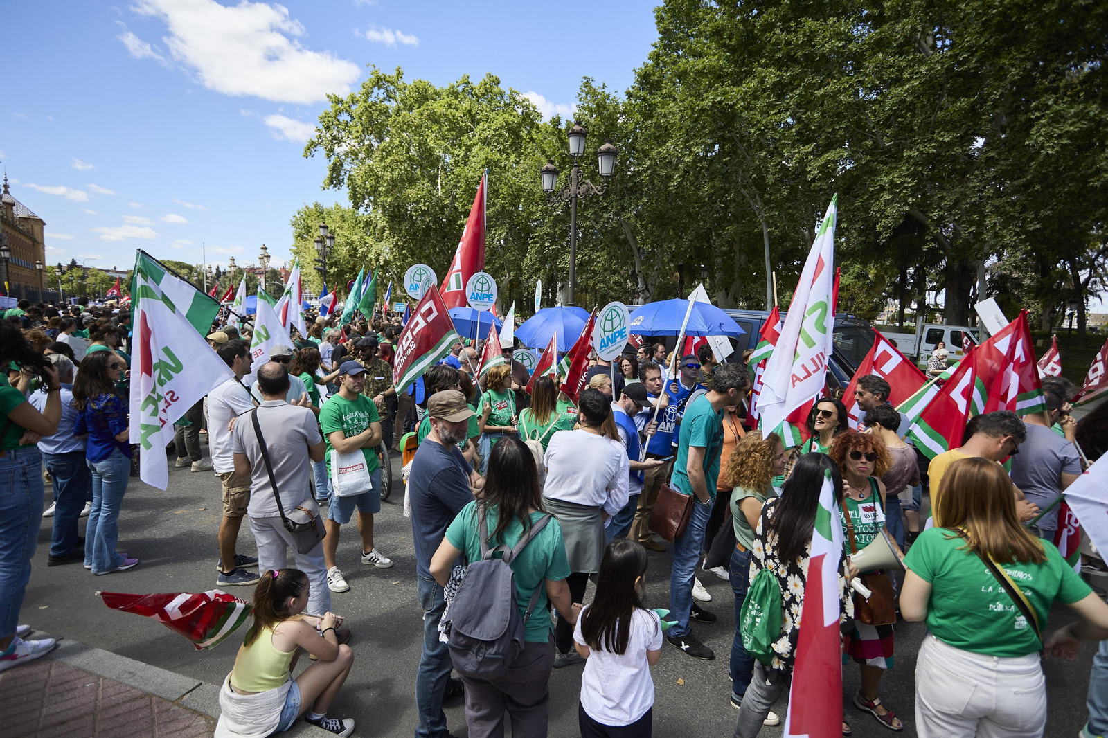 Las imágenes de la manifestación de docentes