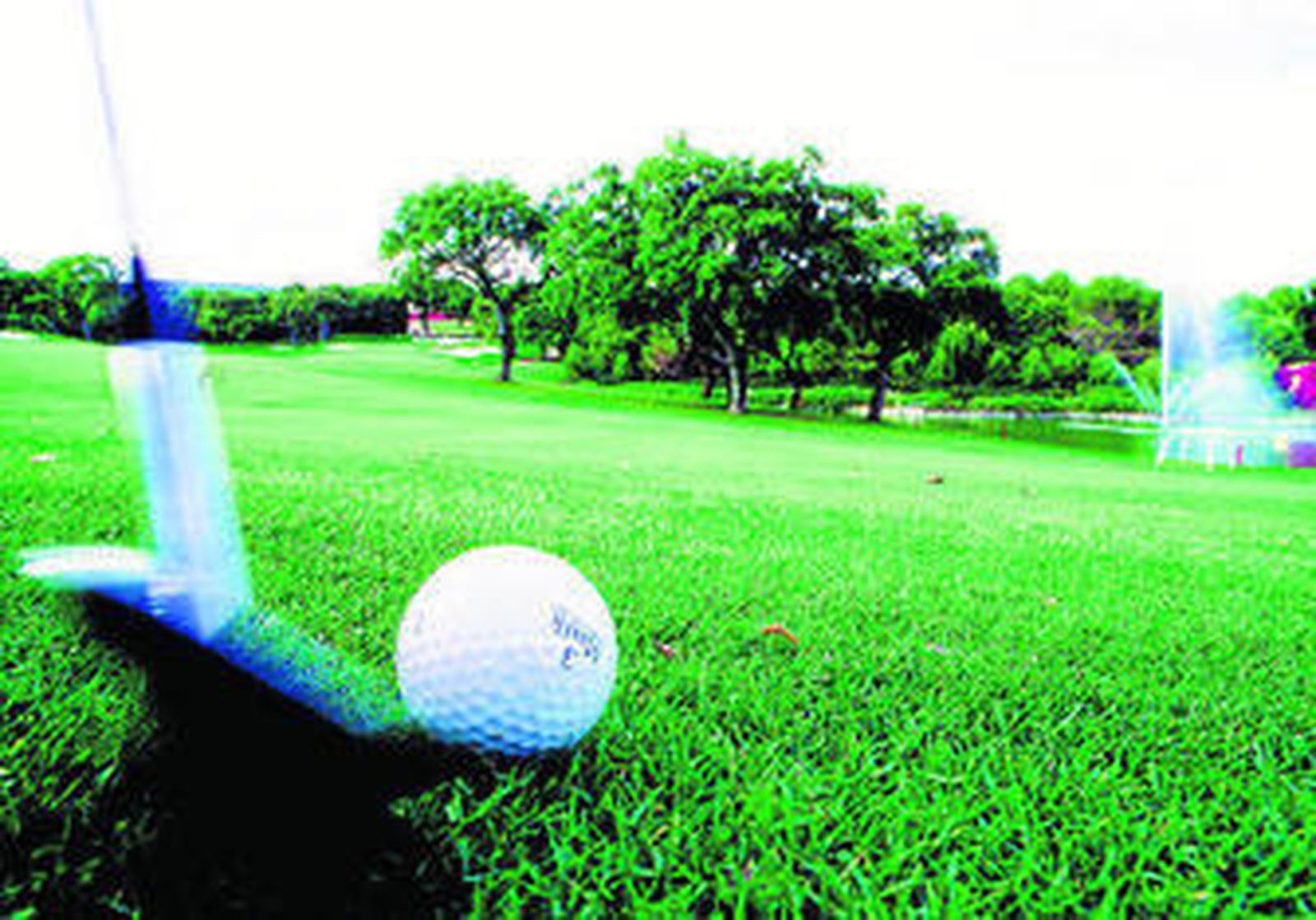 Campo de golf Valderrama, en Sotogrande, San Roque (Cádiz).