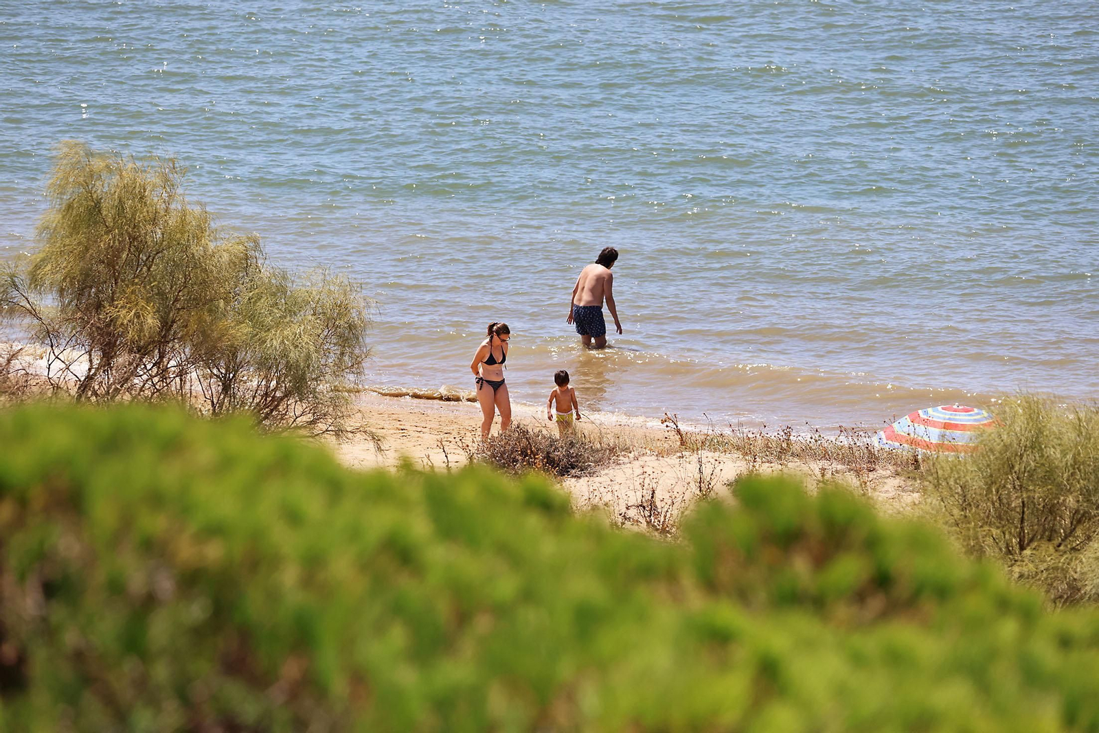 Las espectaculares vistas de la Flecha del Rompido desde el mirador de Nuevo Portil
