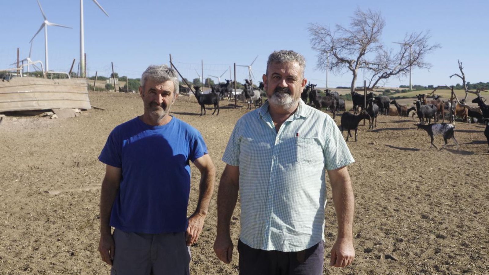 Hermanos Mateos López.