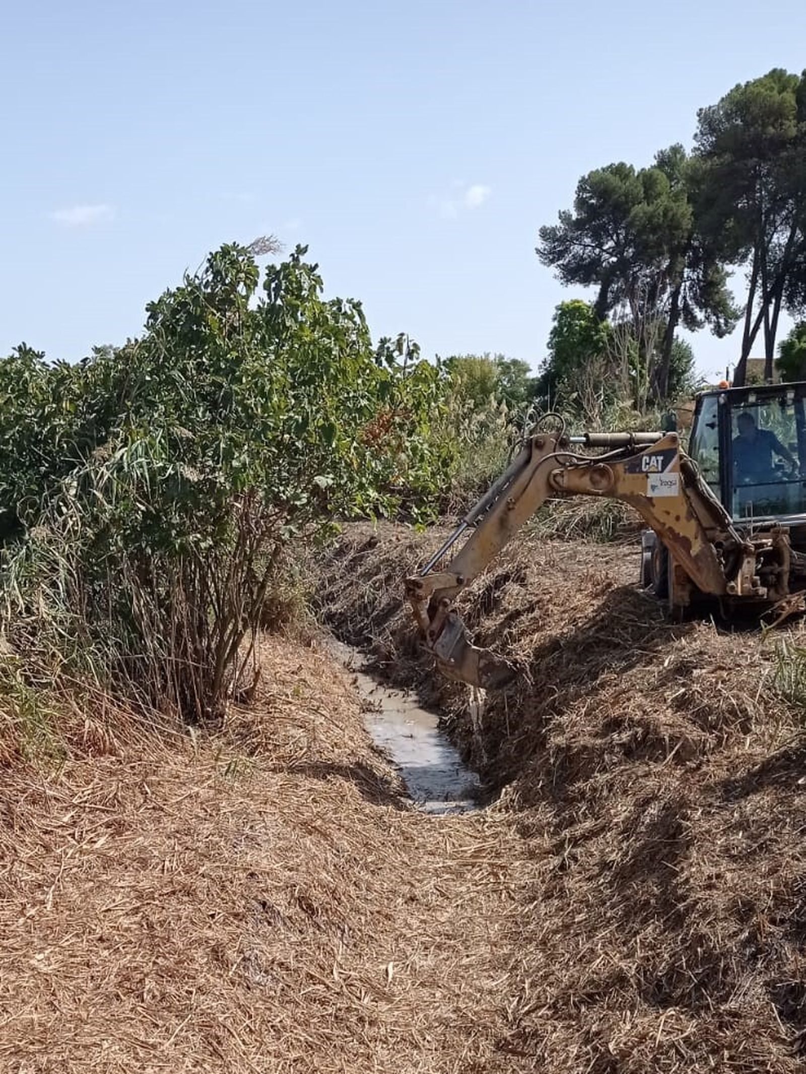 Limpieza del arroyo de Estella.