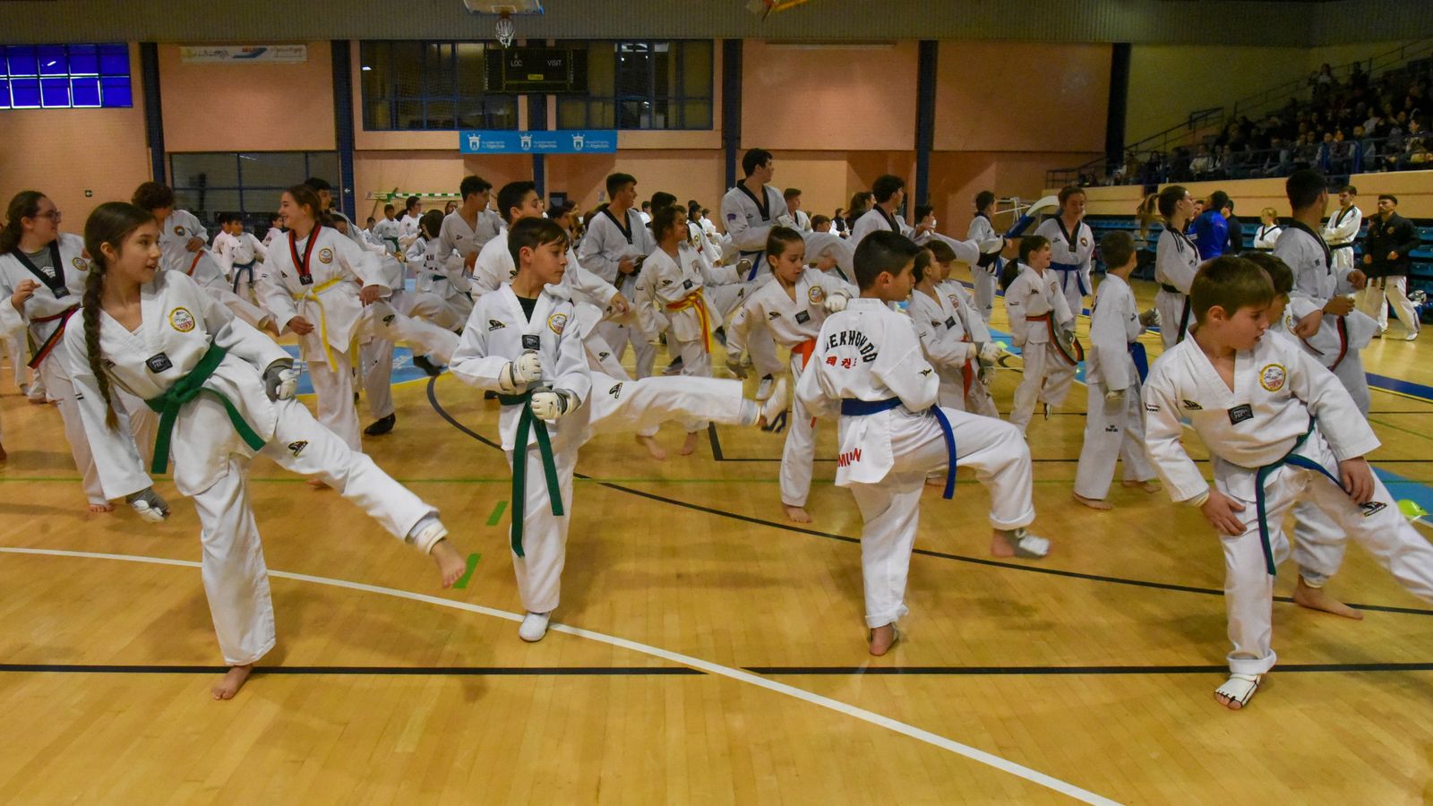 Las fotos de la concentración de Taekwondo Olimpico en Algeciras