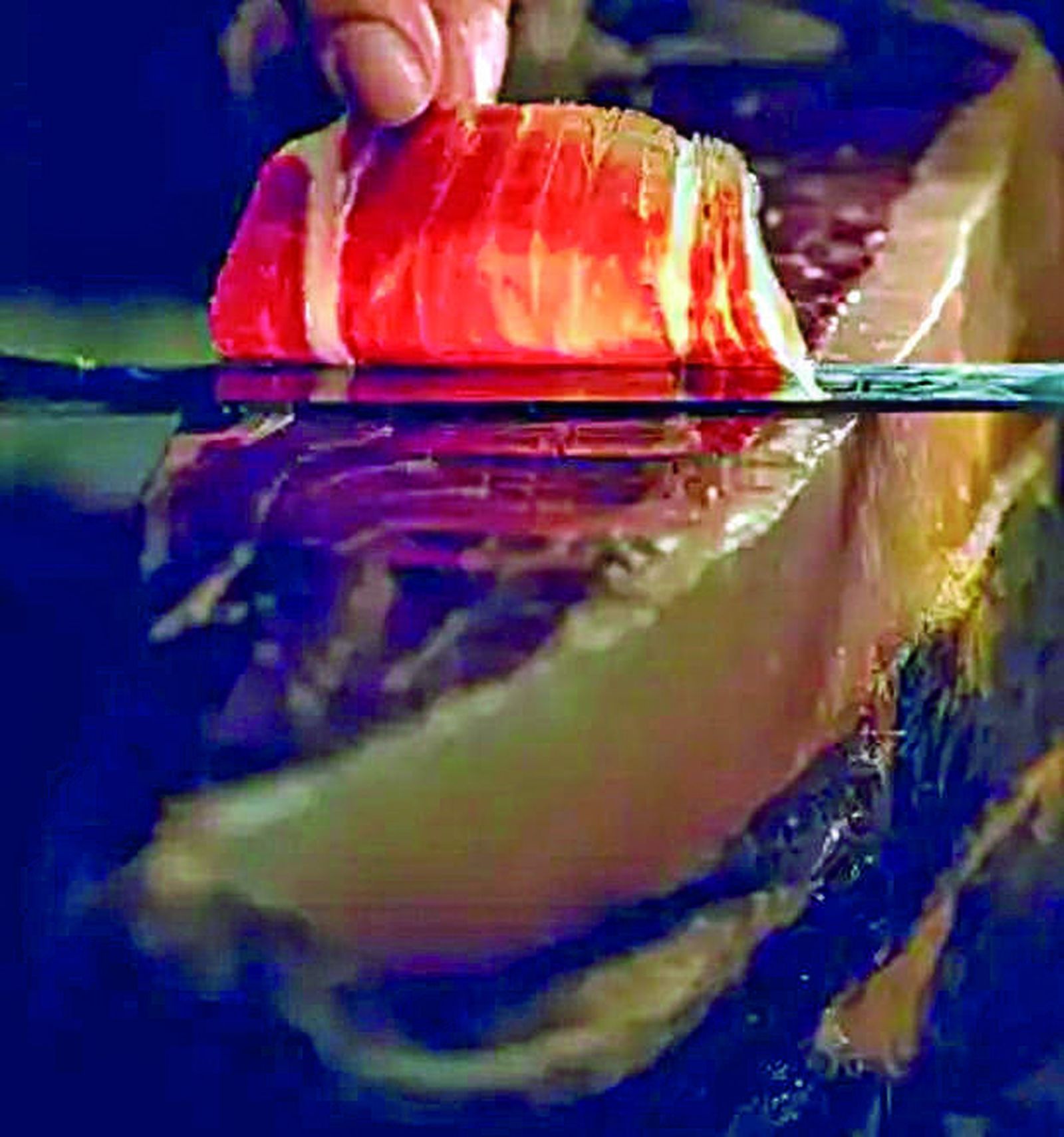 La gastronomía de Huelva convierte el sabor en experiencia.