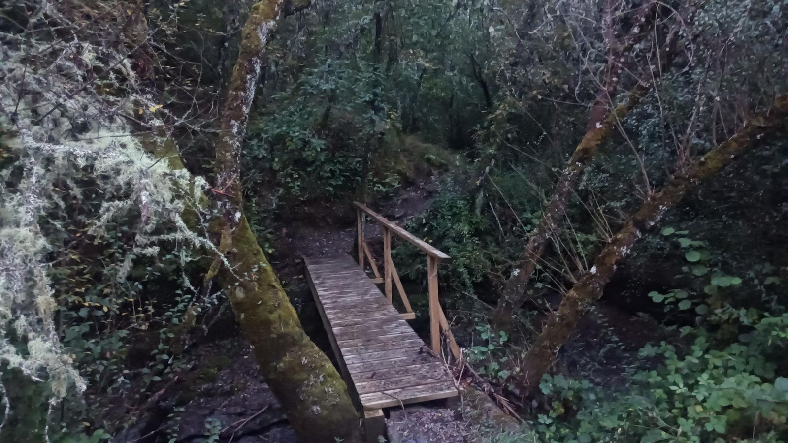 Cruzamos el arroyo del Rodicós por un puente de tablas.