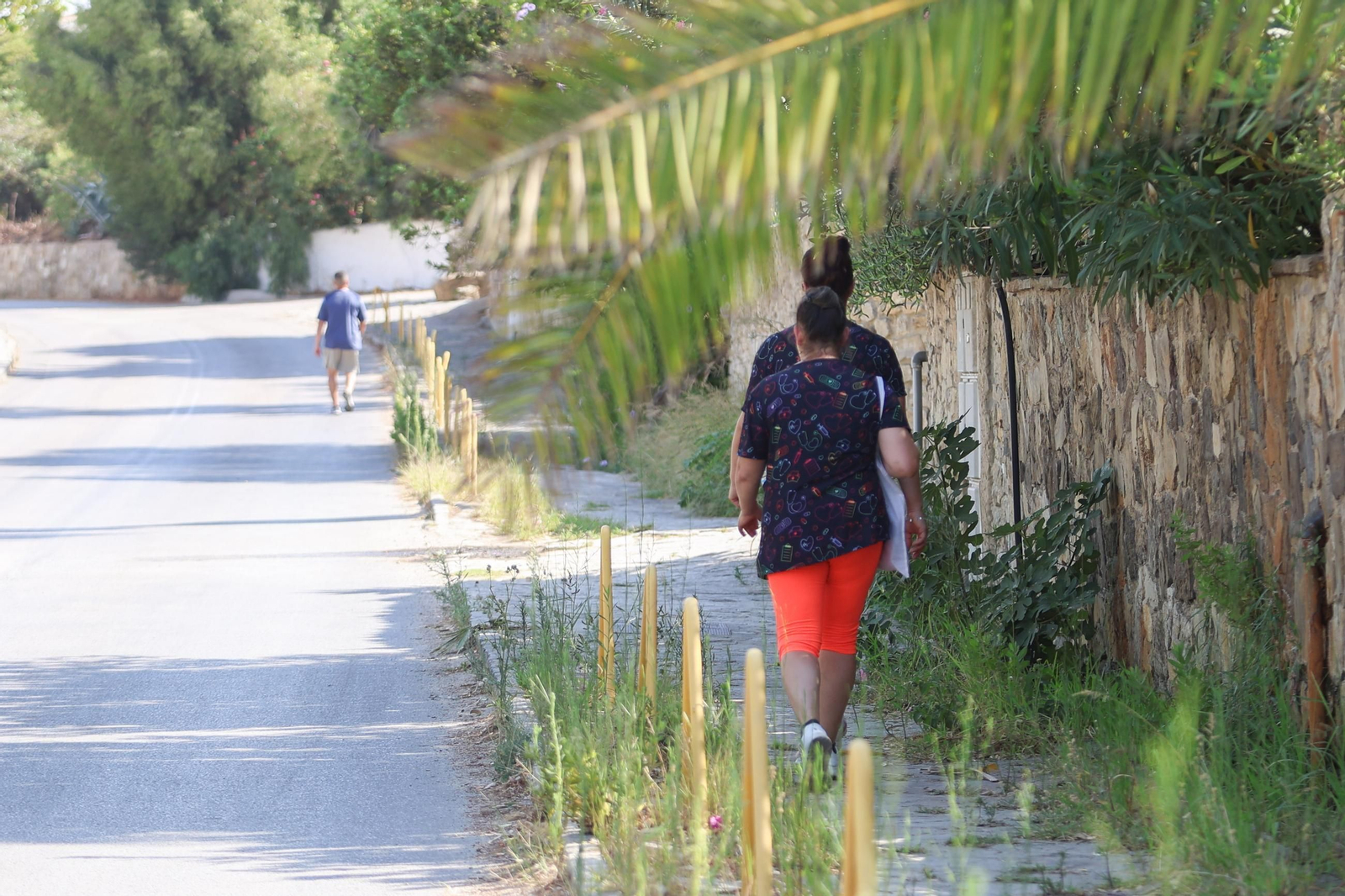 Las fotos de los efectos del incendio forestal en la Sierra de la Plata y Atlanterra, en Tarifa
