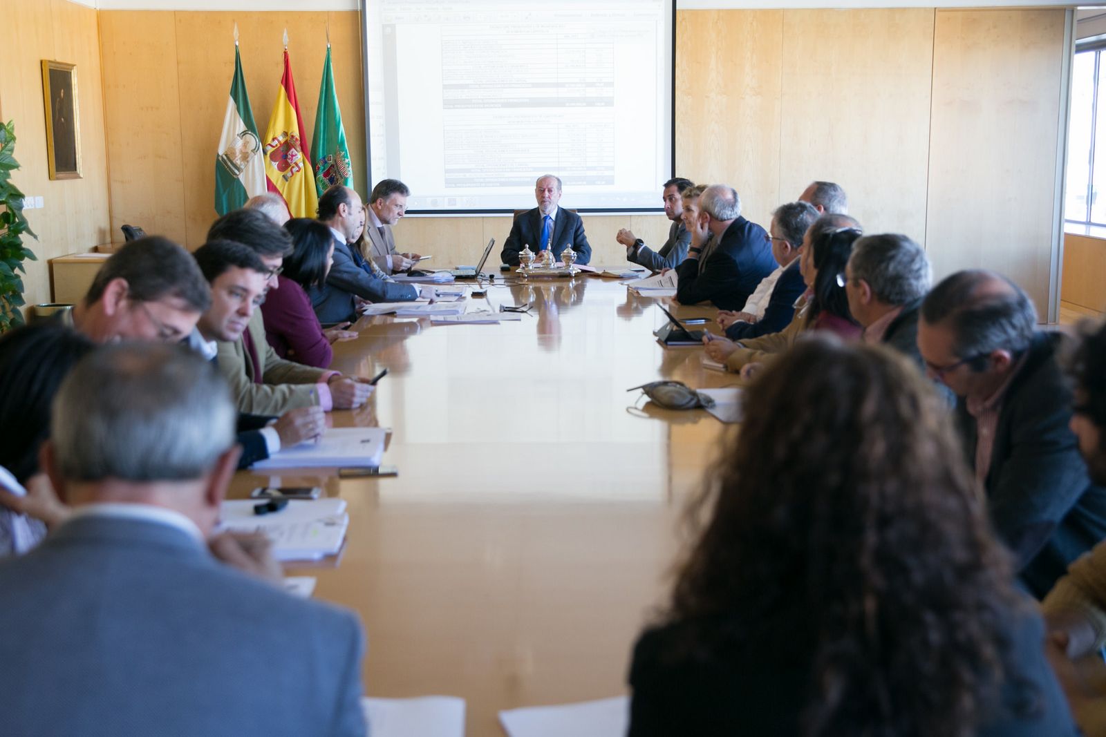 El presidente de la Diputación presidiendo una reunión el Consejo rector del Opaef.