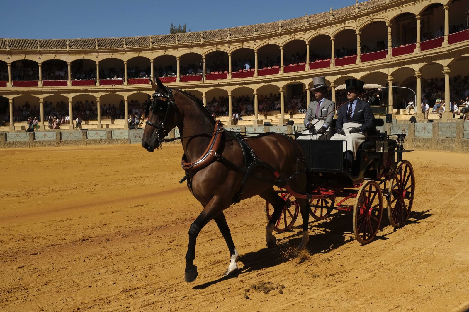 Concurso de enganches de Ronda, en fotos.