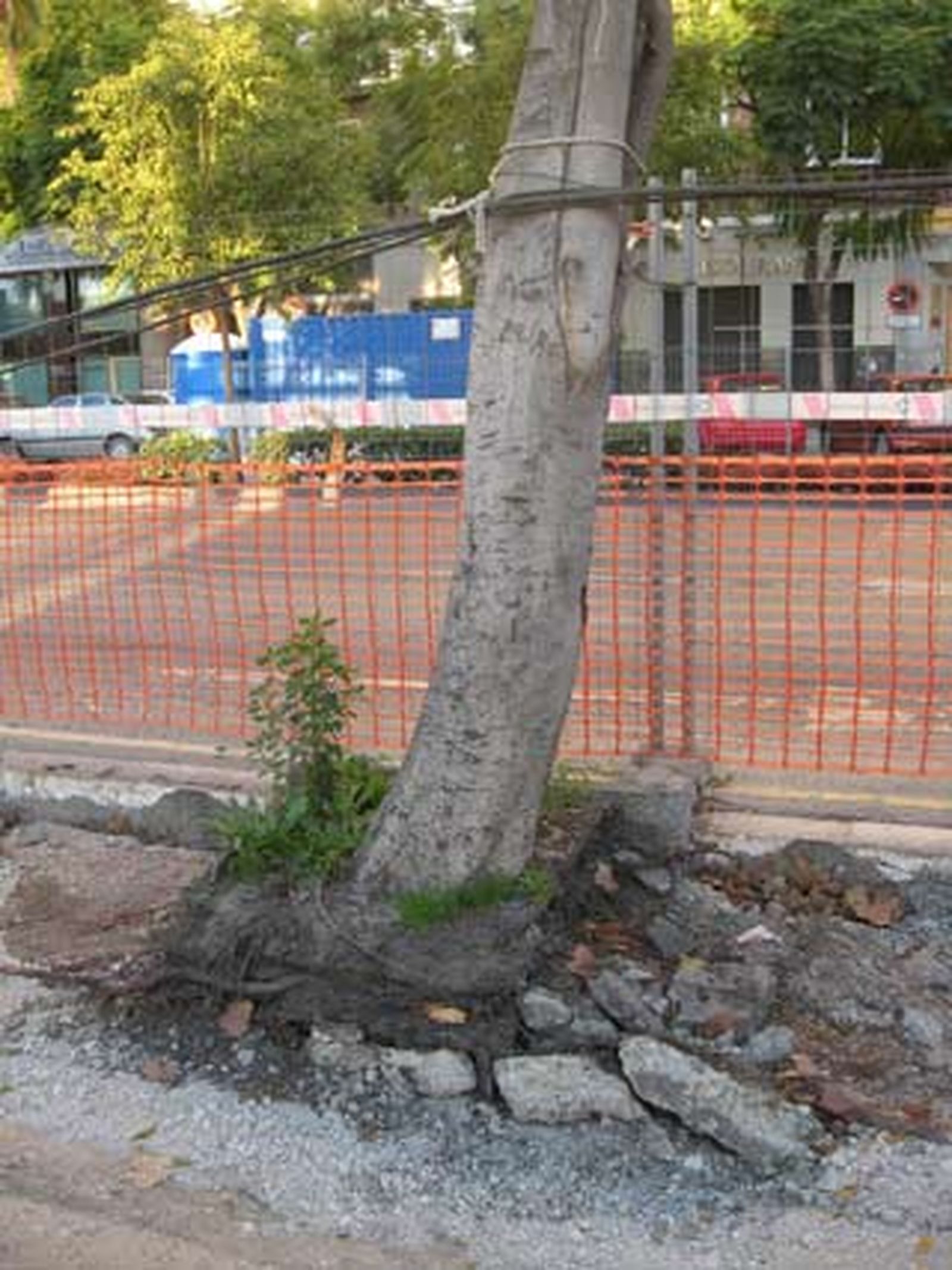Efectos del fuerte viento que azotó la provincia.

Foto: Agencias
