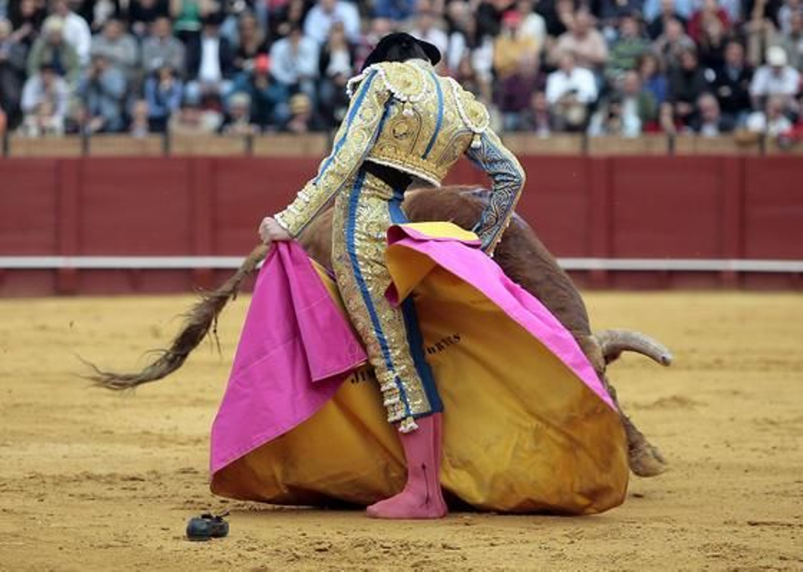 Saúl Jiménez Cortés cuajó unas chicuelinas preciosas, que remató con una media, en el quite que le correspondió en el segundo toro.

Foto: Juan Carlos Muñoz