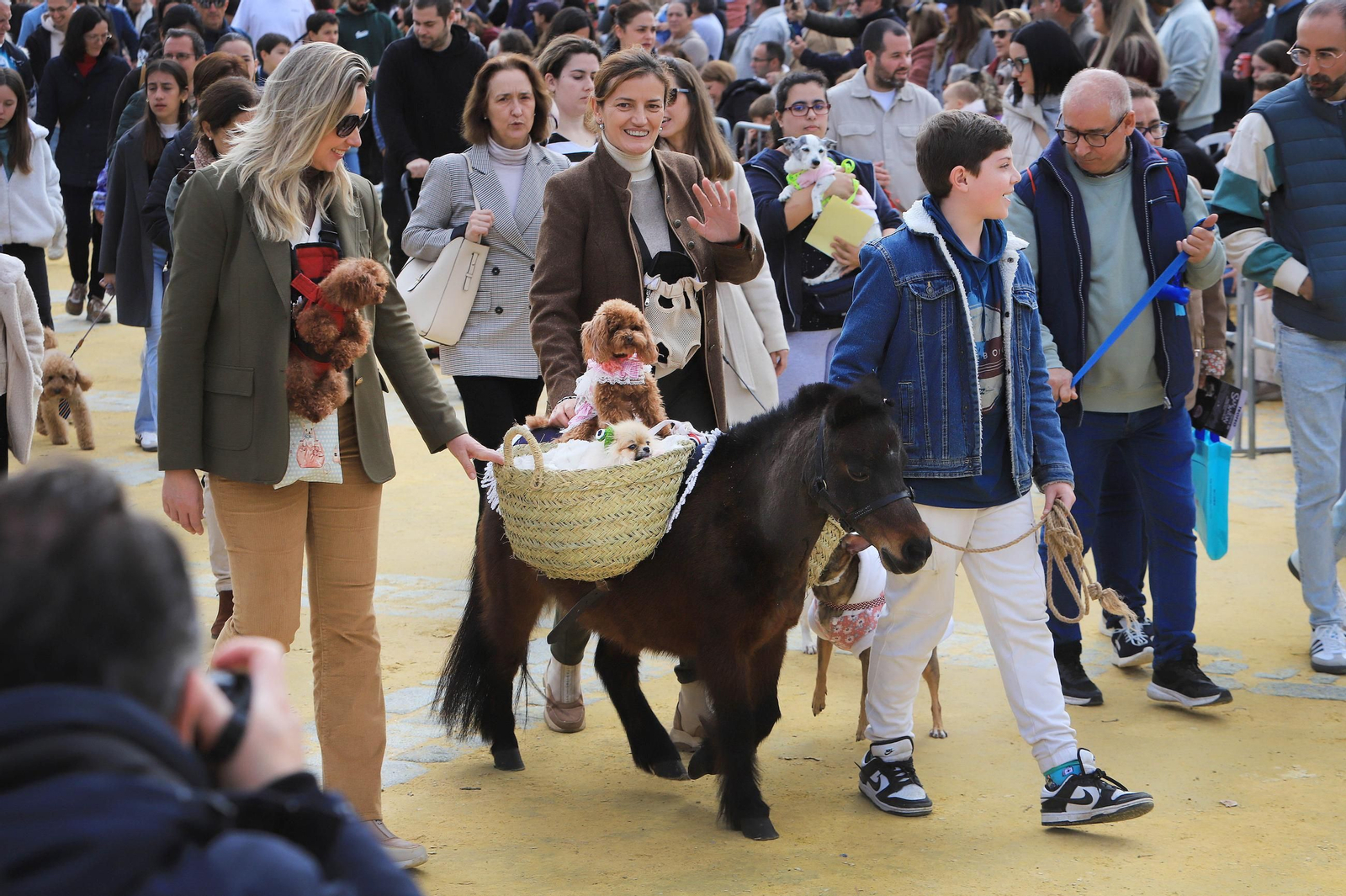 Jerez celebra San Antón 2025