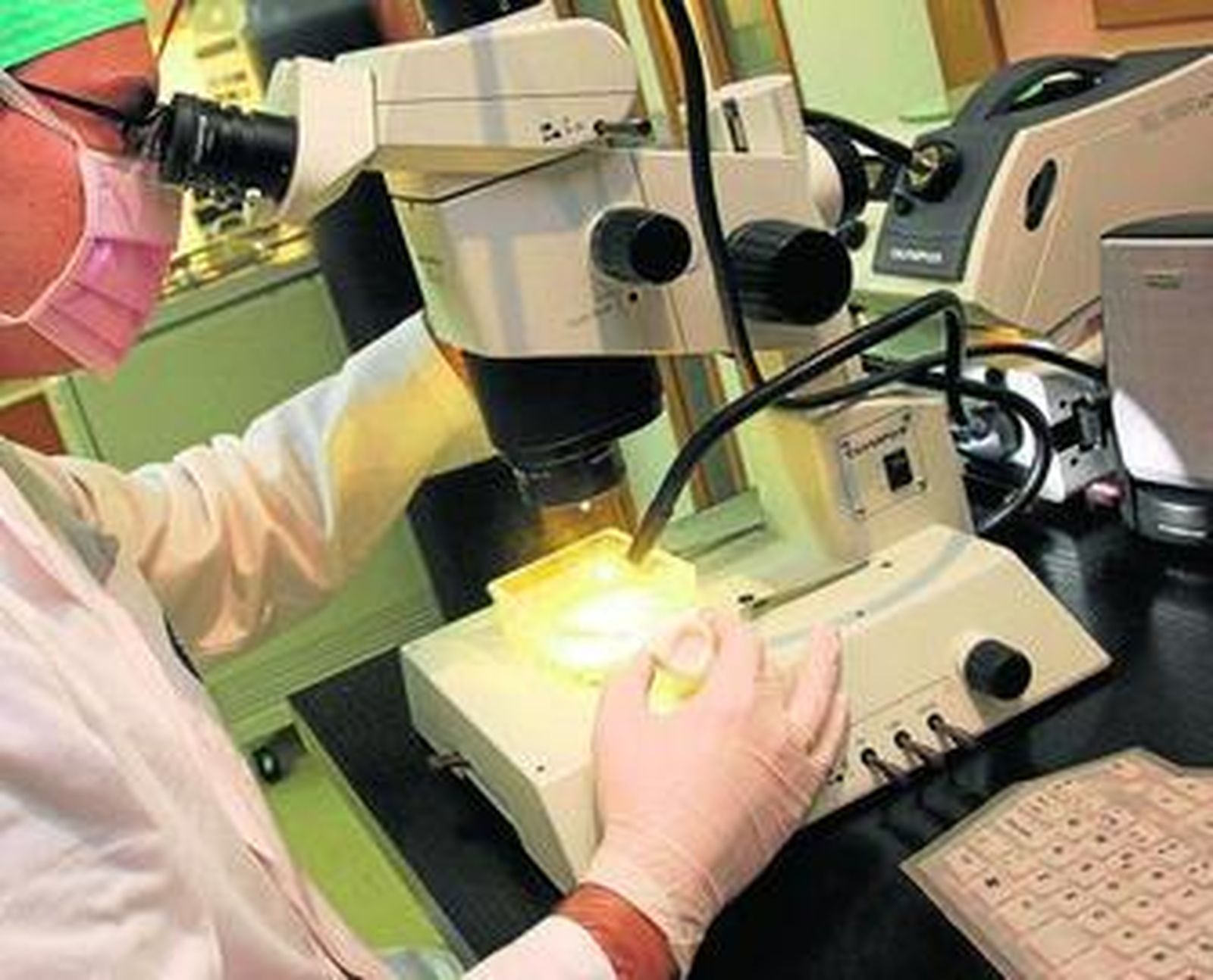 La investigación ha sufrido ya un recorte de financiación y personal importante desde que comenzó la crisis.