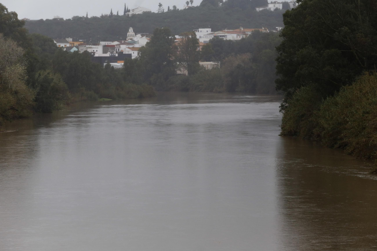 Fotos de los ríos del Campo de Gibraltar tras las últimas lluvias