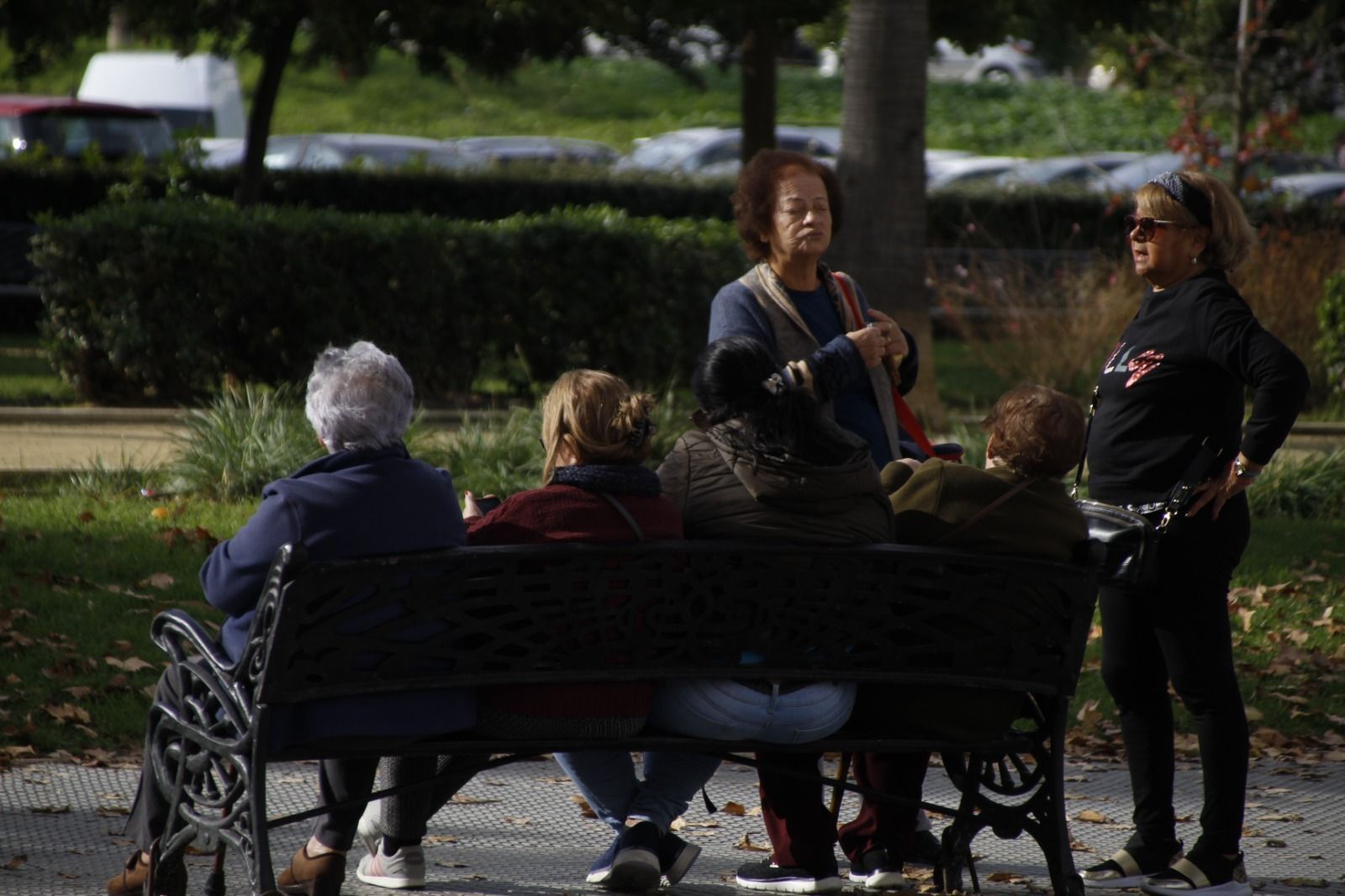 Imágenes del lunes 11 de diciembre en Huelva