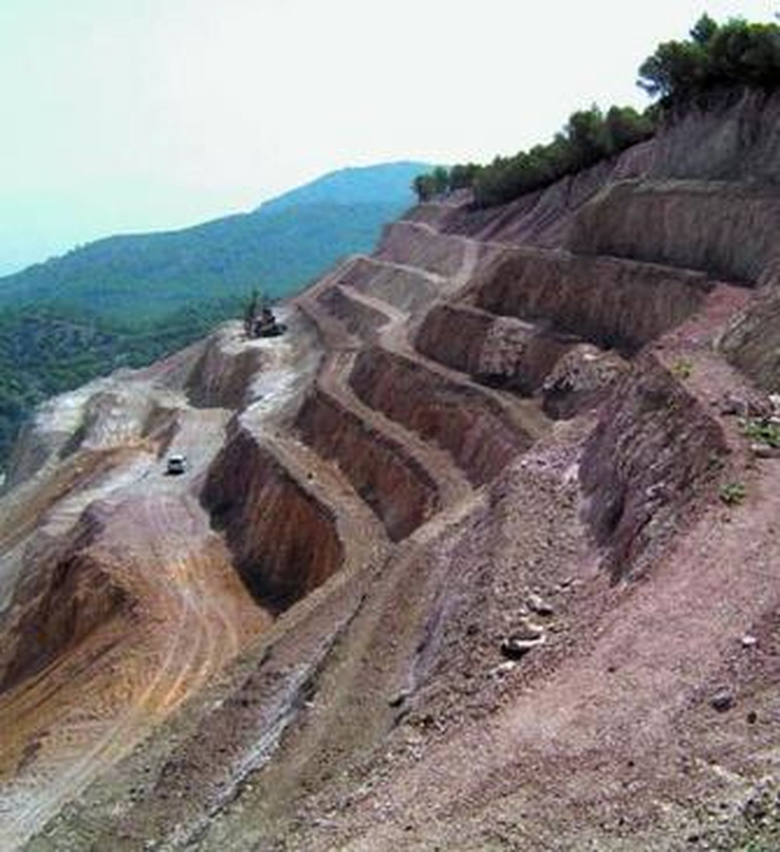 Vista del terreno preparado para la reforestación.