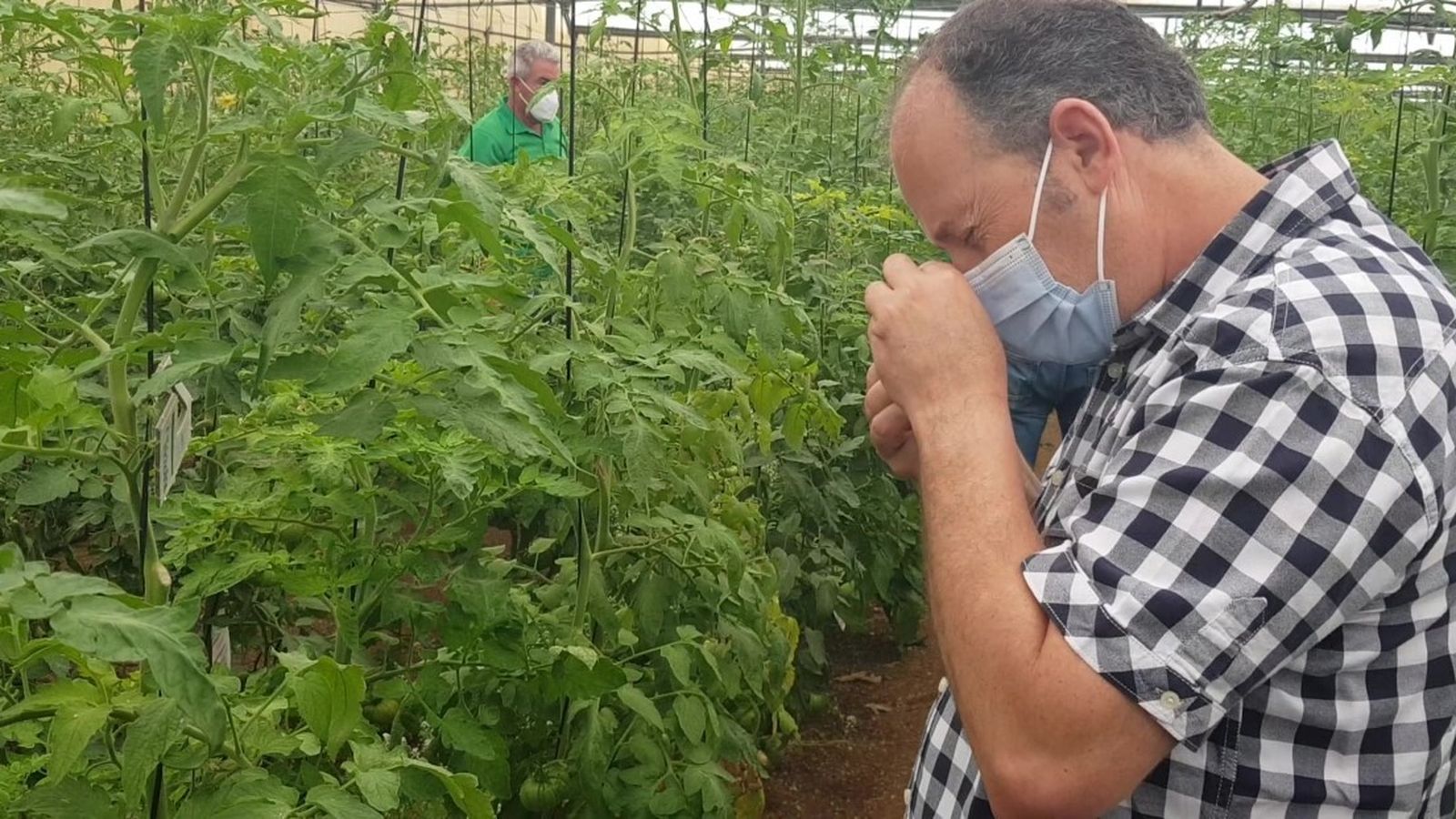 Jornada demostrativa en el marco del proyecto europeo H2020 IPMWorks