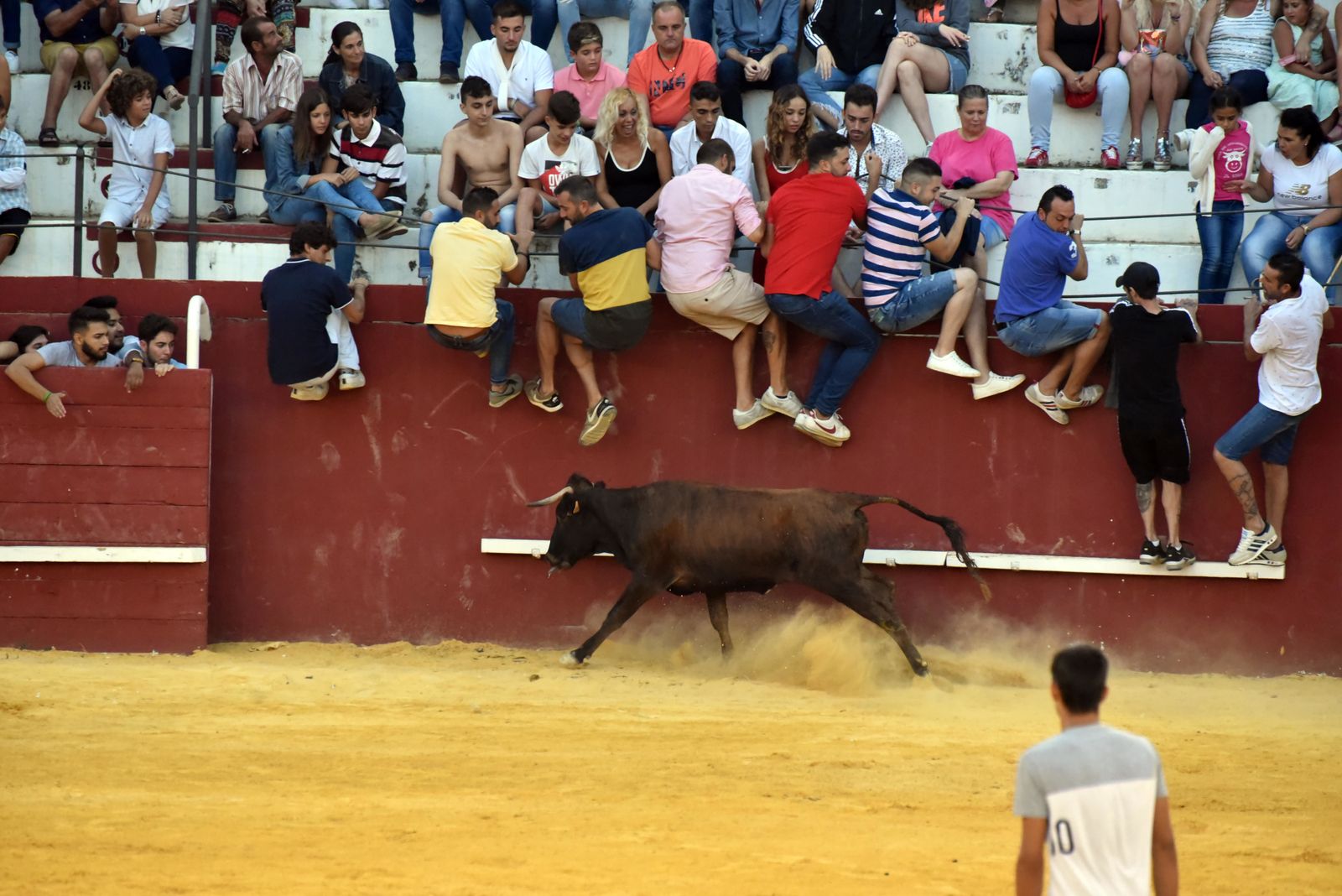Toro del Aguardiente