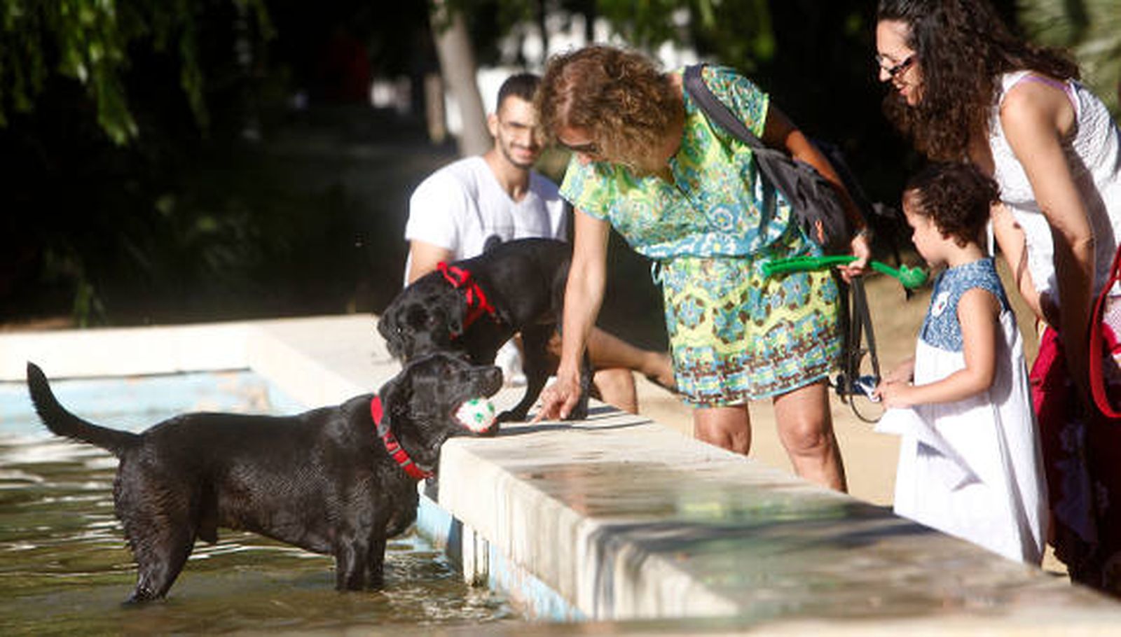C's pide un "bebedero adaptado para animales domésticos" en las fuentes públicas de nueva instalación