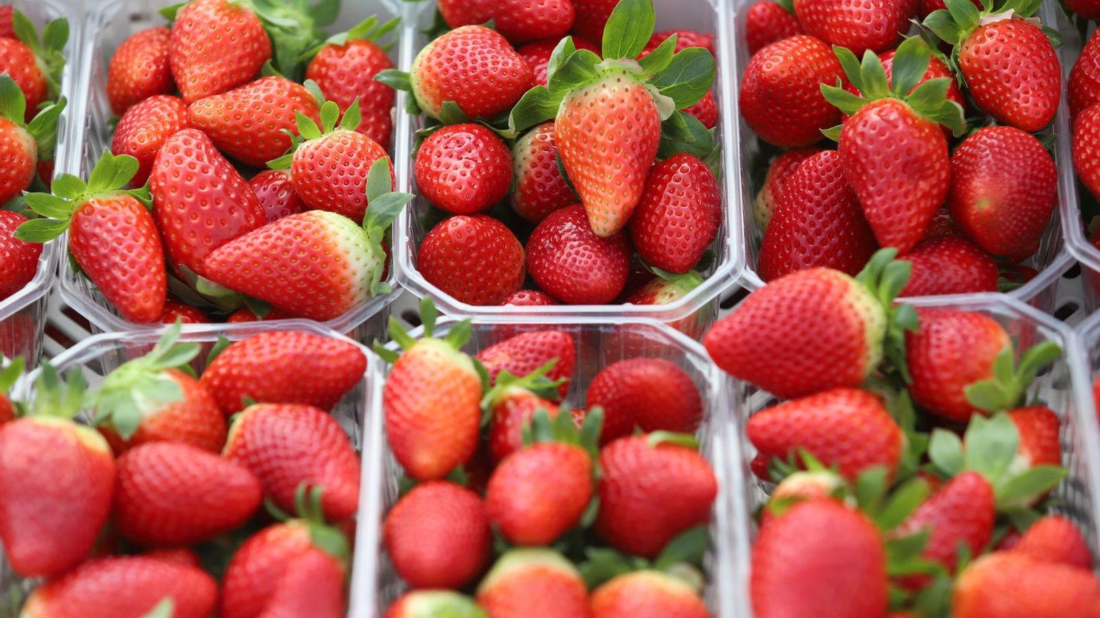 ¿Sabías que Huelva es la mayor exportadora de frutos rojos de Europa?