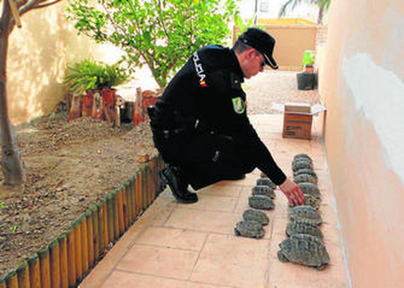 Un agente de la Policía Autonómica junto a los animales rescatados en Turre.