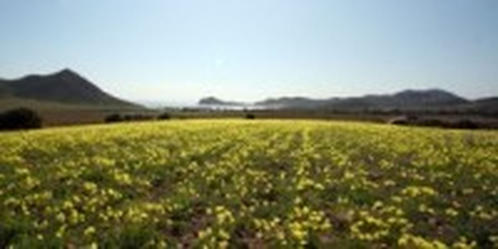 Avance en la acreditación de la Carta Europea de Turismo Sostenible del Parque Natural de Cabo de Gata-Níjar