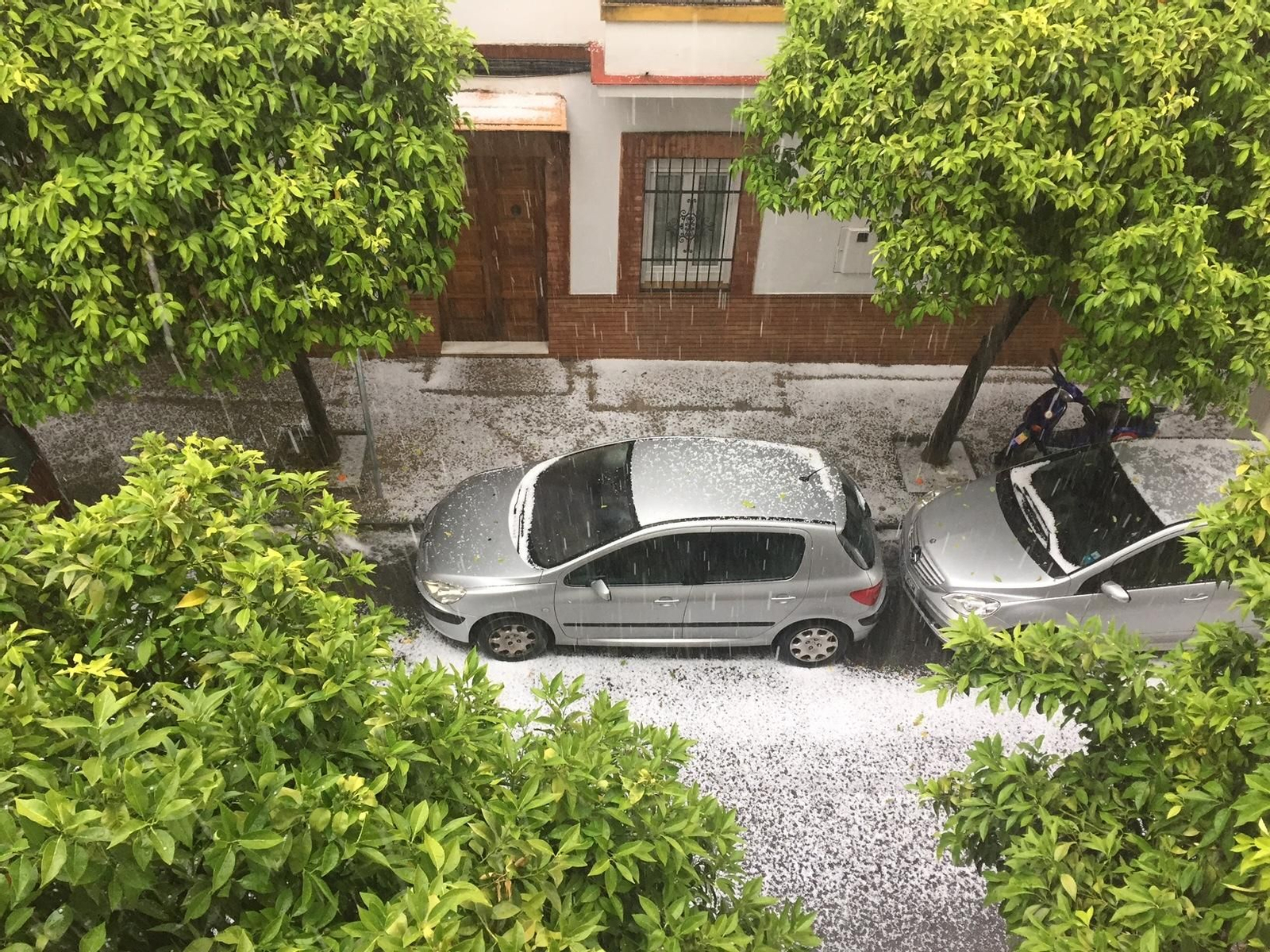 Intensa granizada en el Jueves Santo en Sevilla