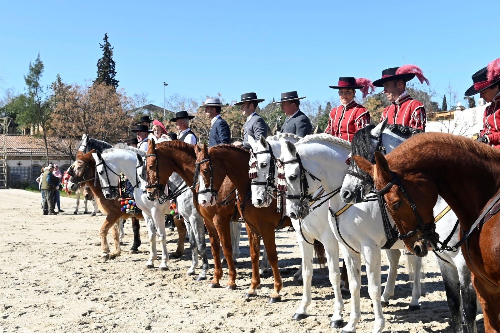 Las mejores fotografías la Marcha Hípica 'Córdoba a Caballo' por el 28F