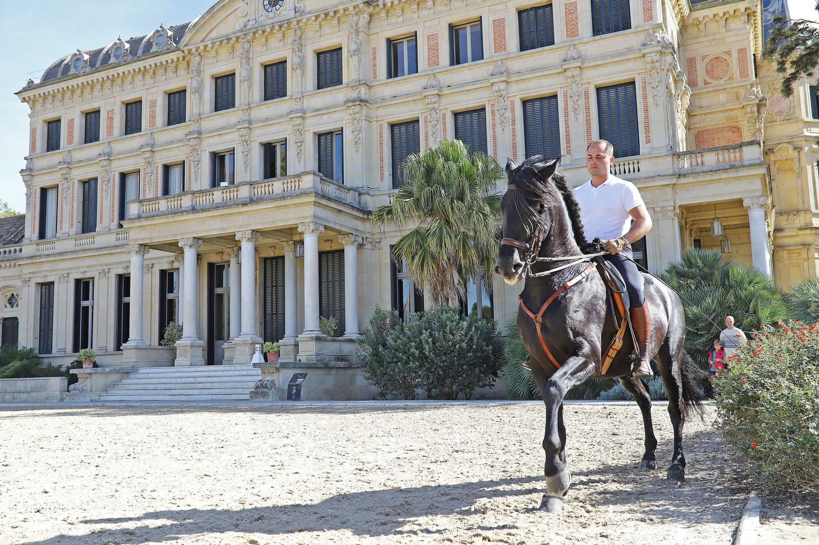 XVII Campeonato de Andalucía de Doma de Alta Escuela