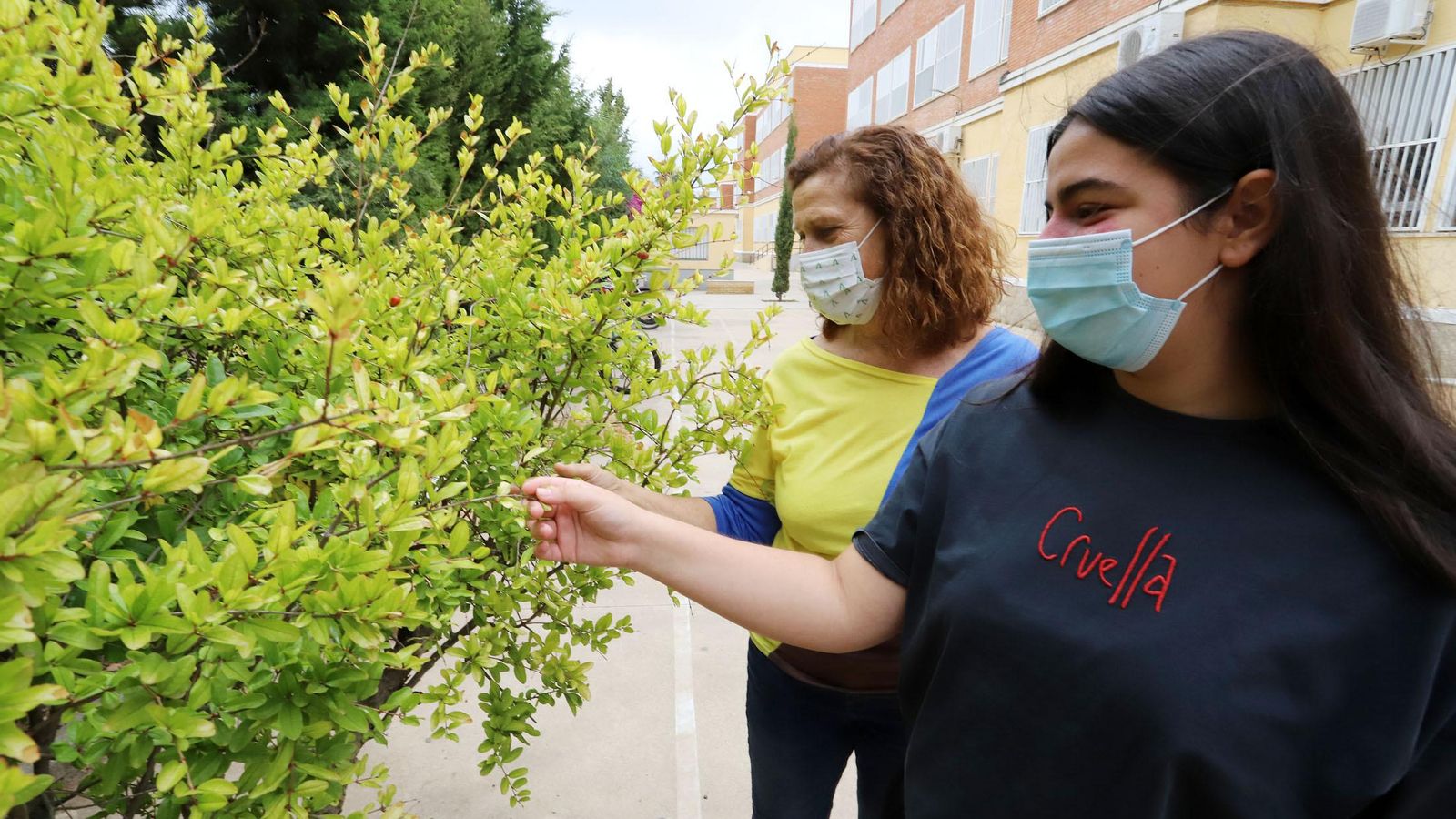 Alumna y orientadora junto al granado regalo del ayuntamiento de la localidad alemana de Coesfeld.