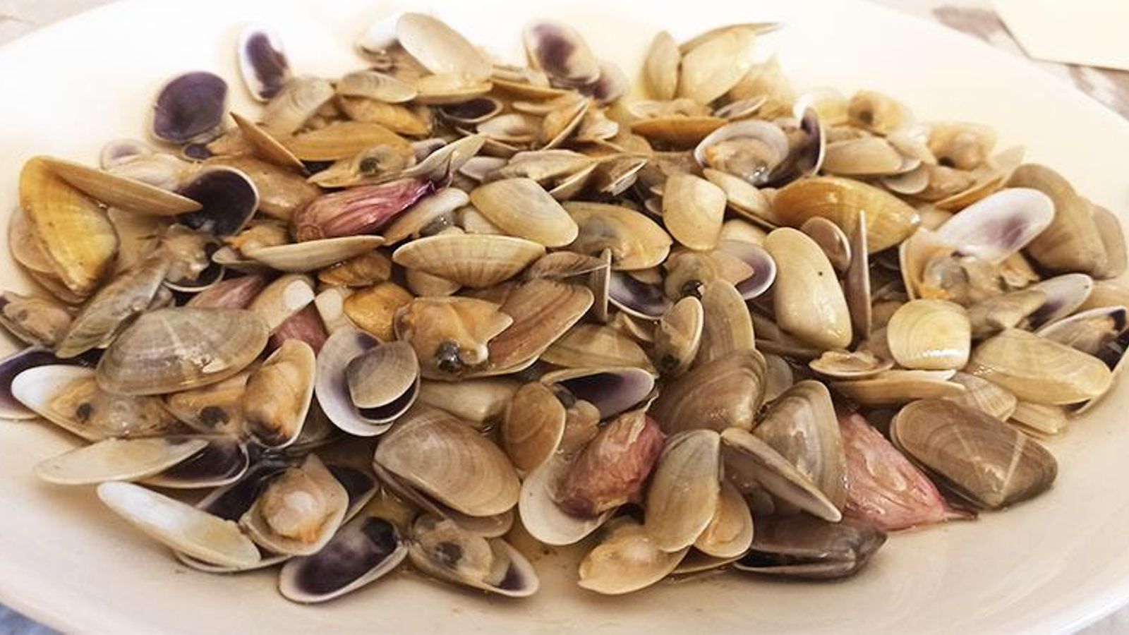 Coquinas